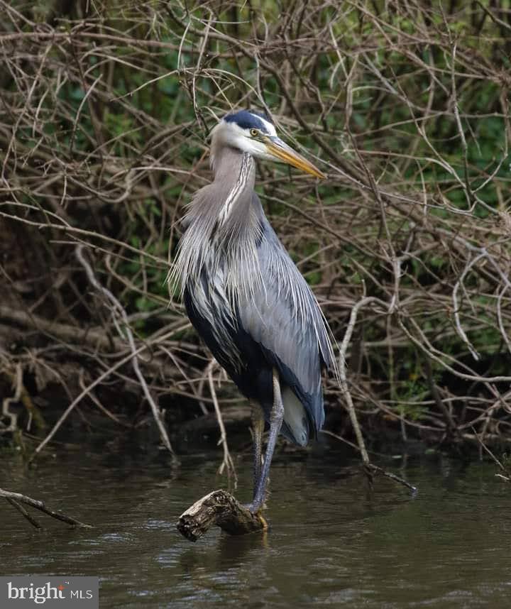 PORT PROVIDENCE - Residential