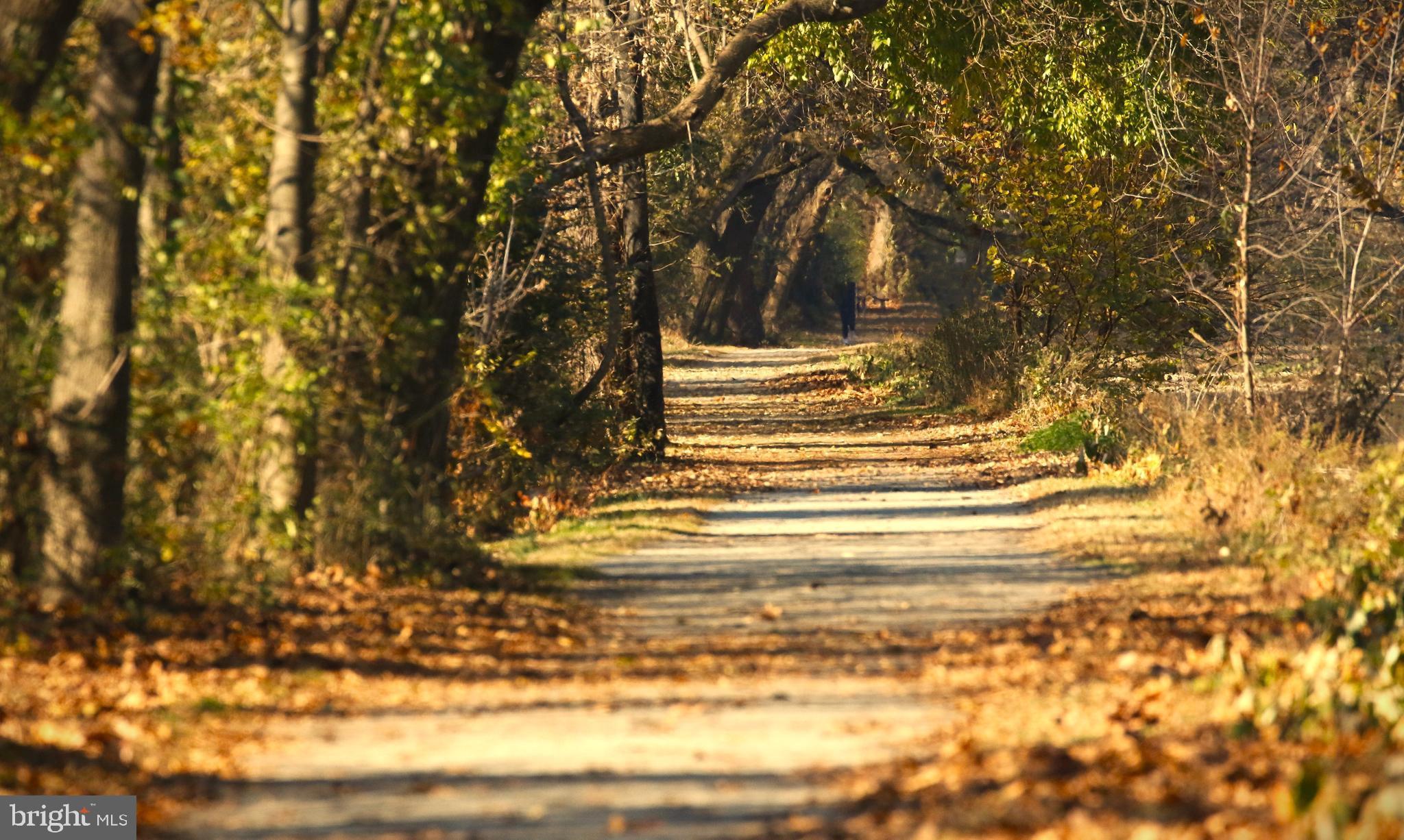 PORT PROVIDENCE - Residential