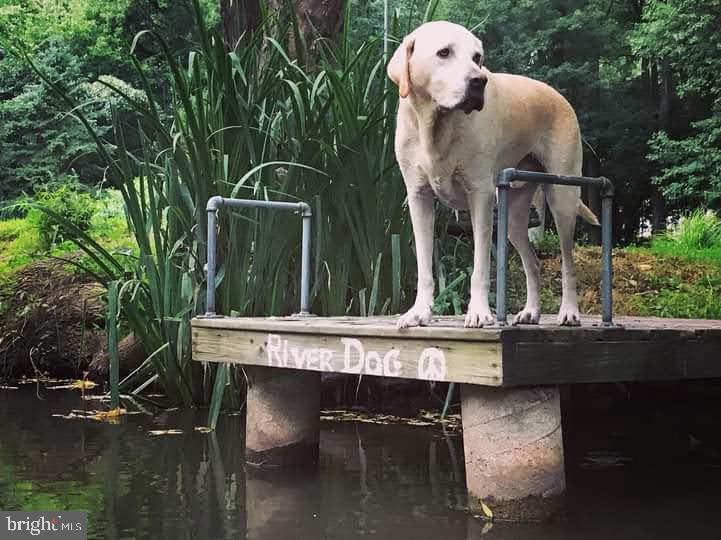 PORT PROVIDENCE - Residential