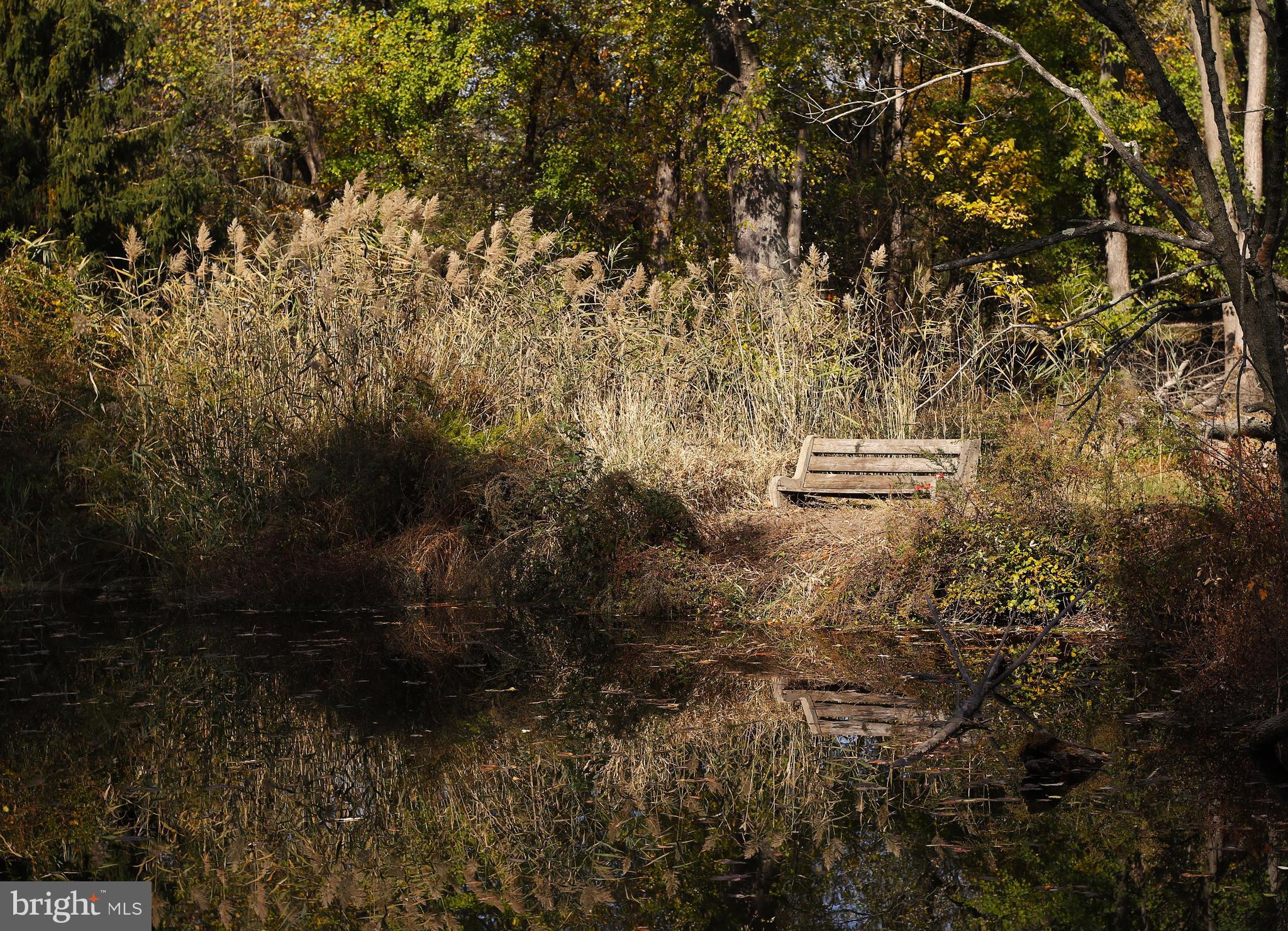 PORT PROVIDENCE - Residential