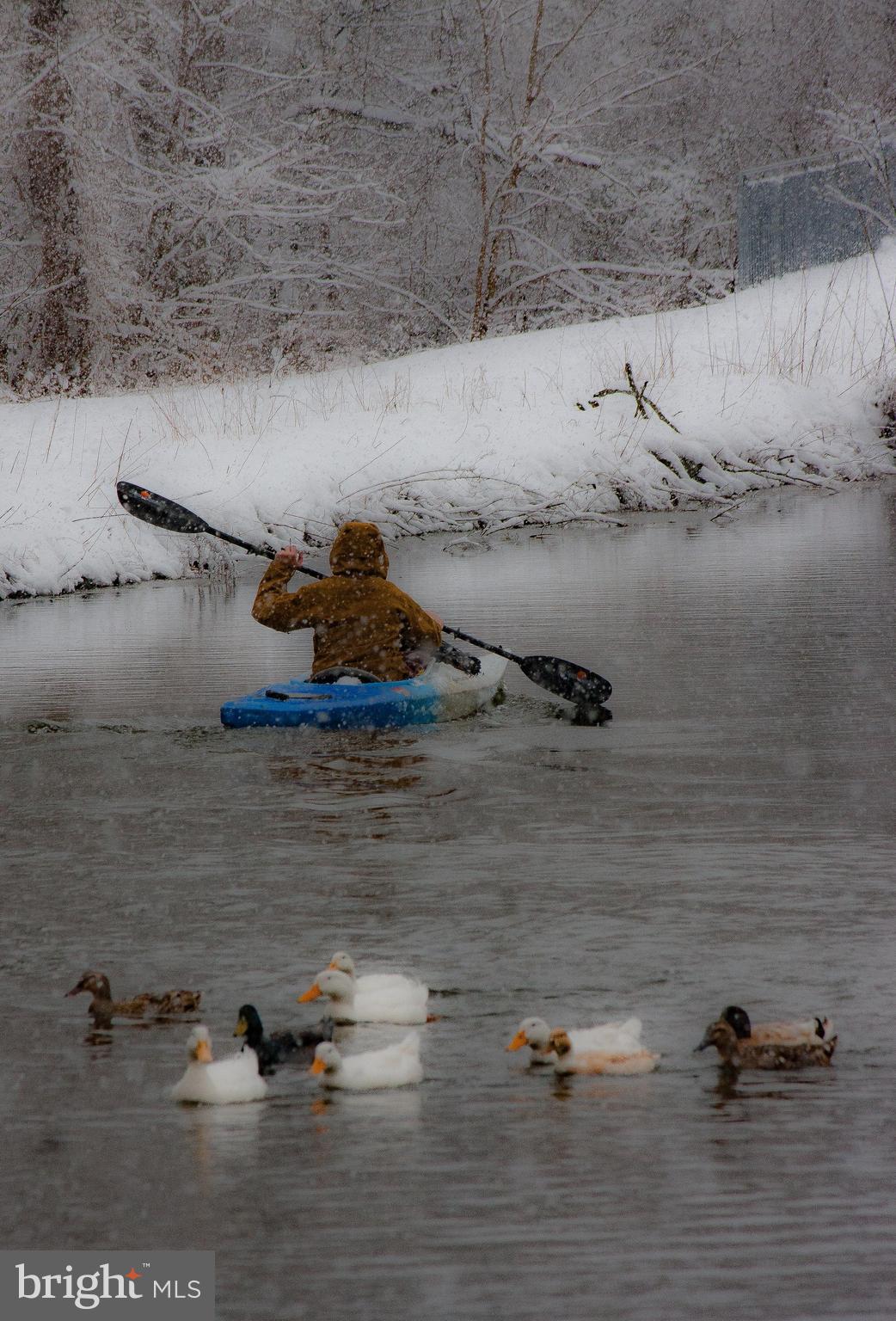 PORT PROVIDENCE - Residential
