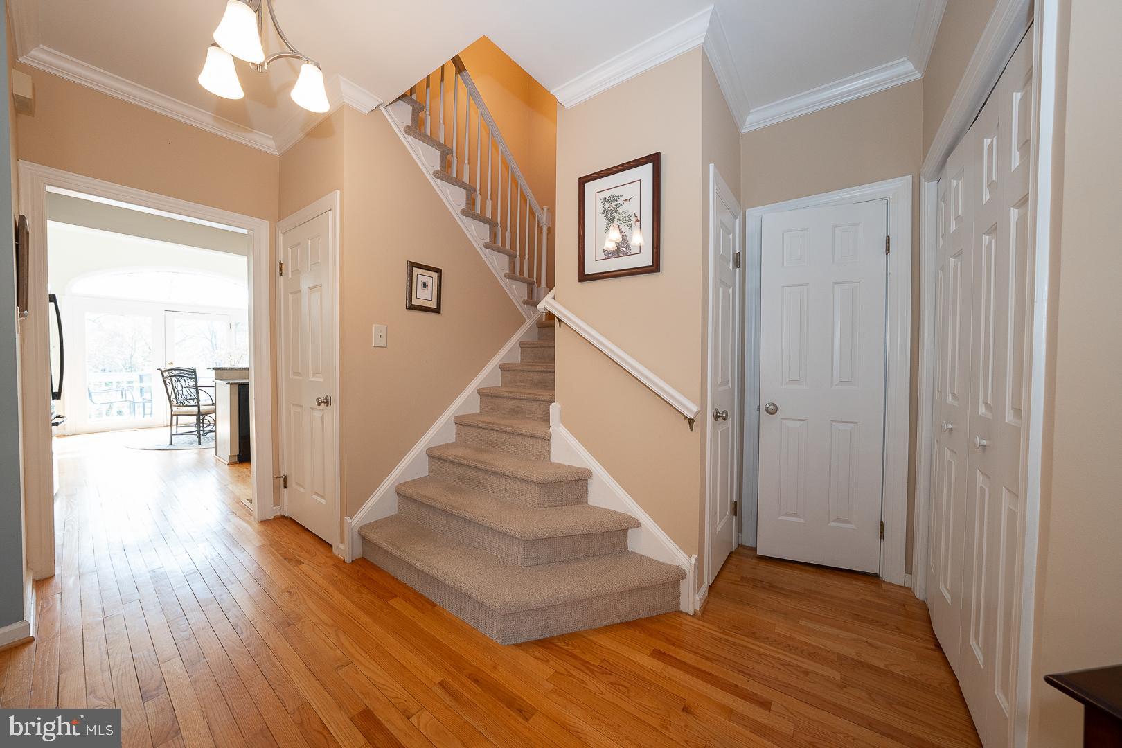 SPRINGTON MEWS - Residential