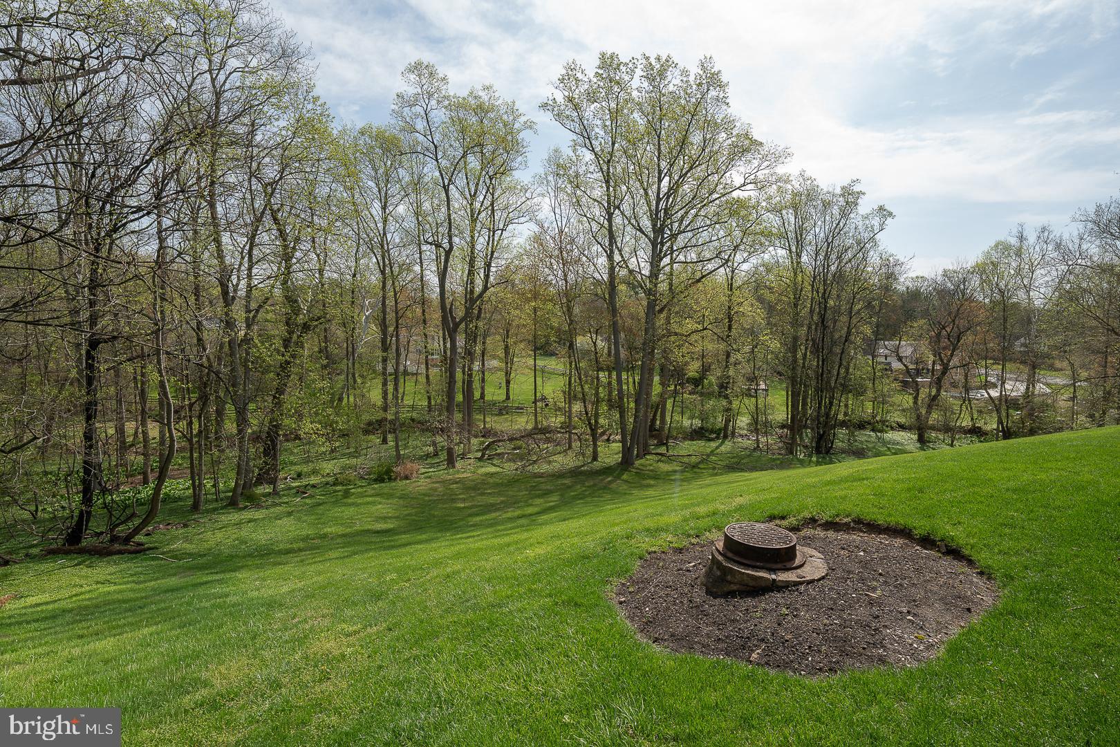 SPRINGTON MEWS - Residential