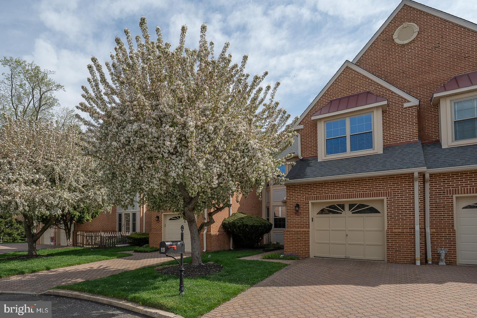 SPRINGTON MEWS - Residential