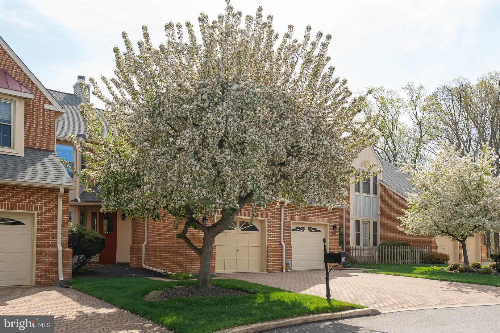 SPRINGTON MEWS - Residential