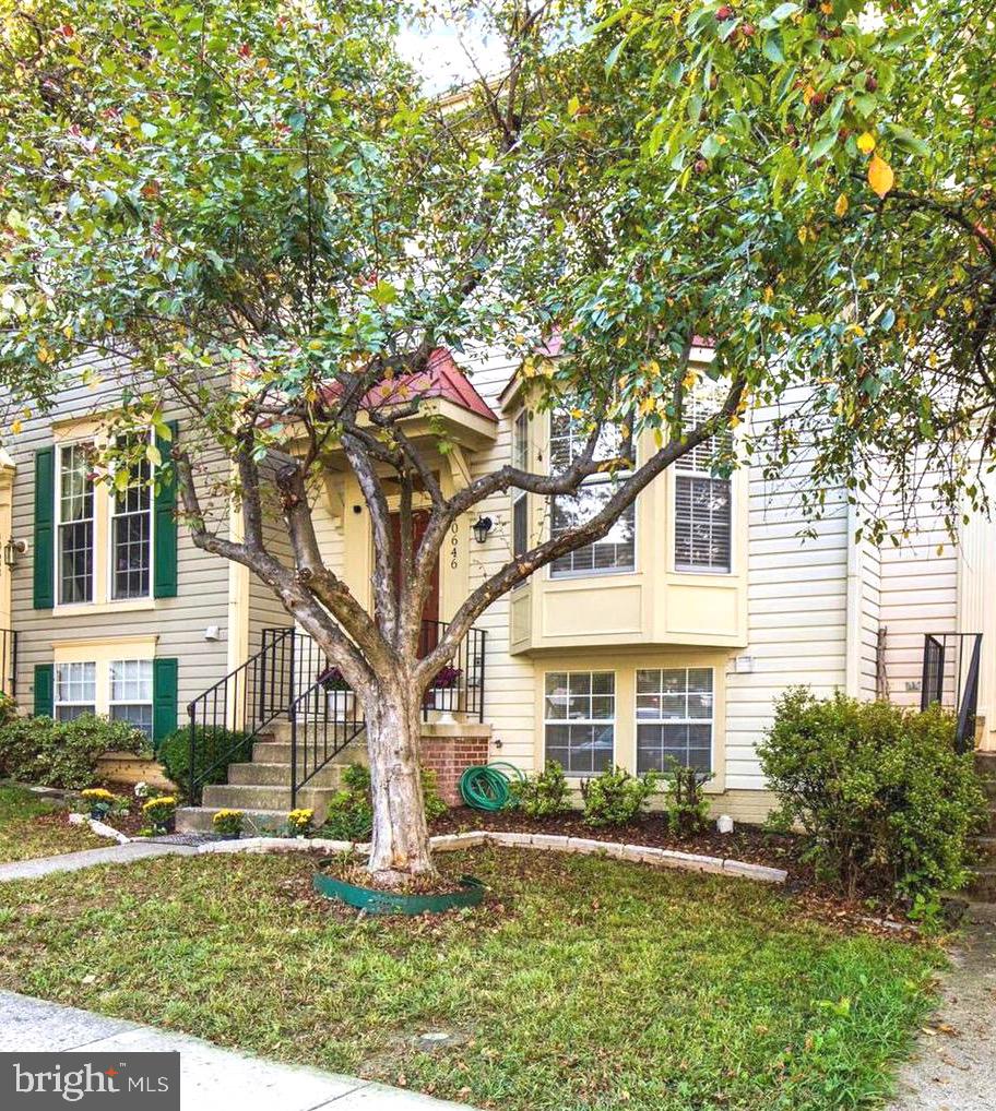 PARADISE - Residential Lease