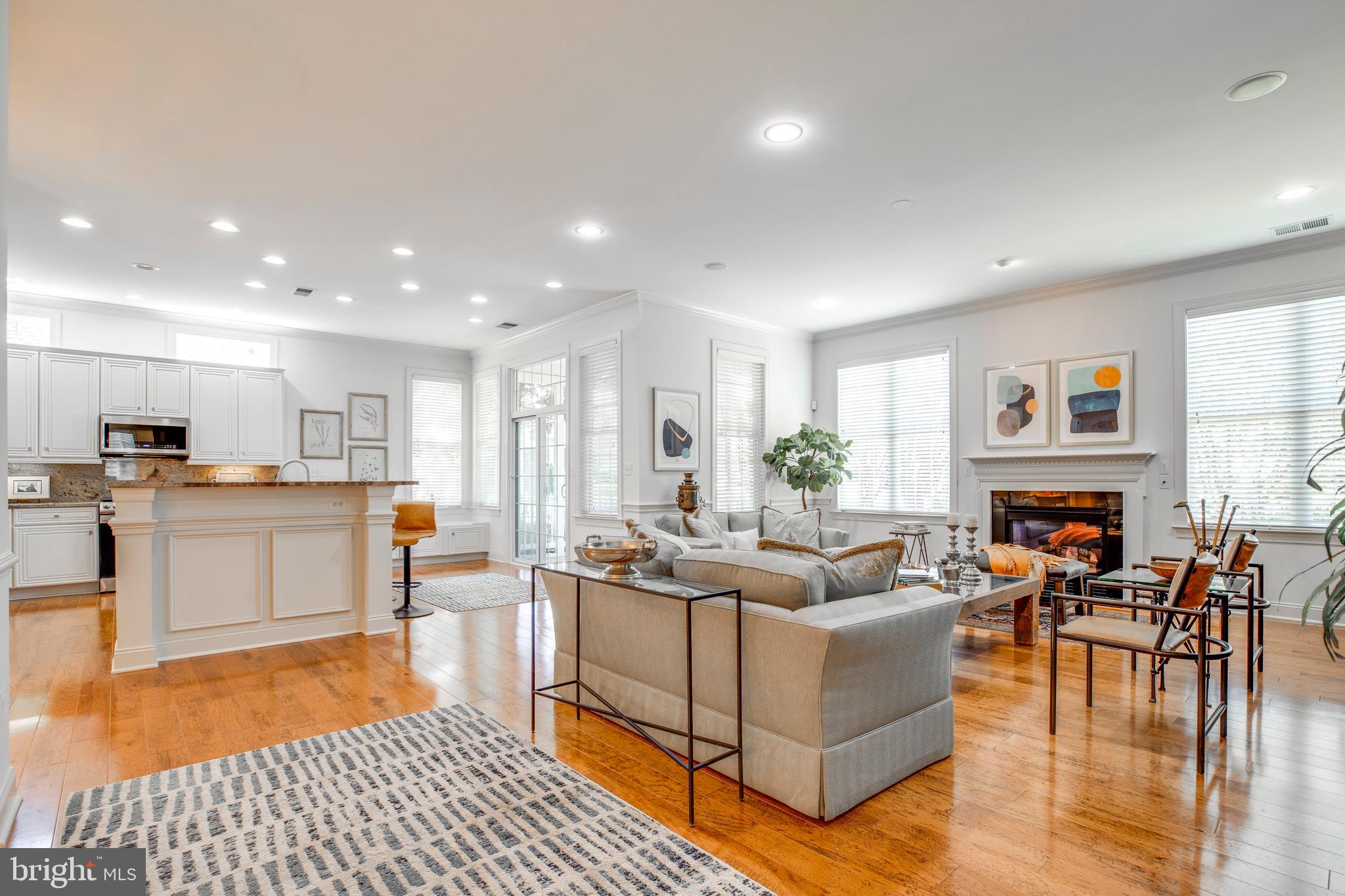 REGENCY AT DOMINION VALLEY - Residential