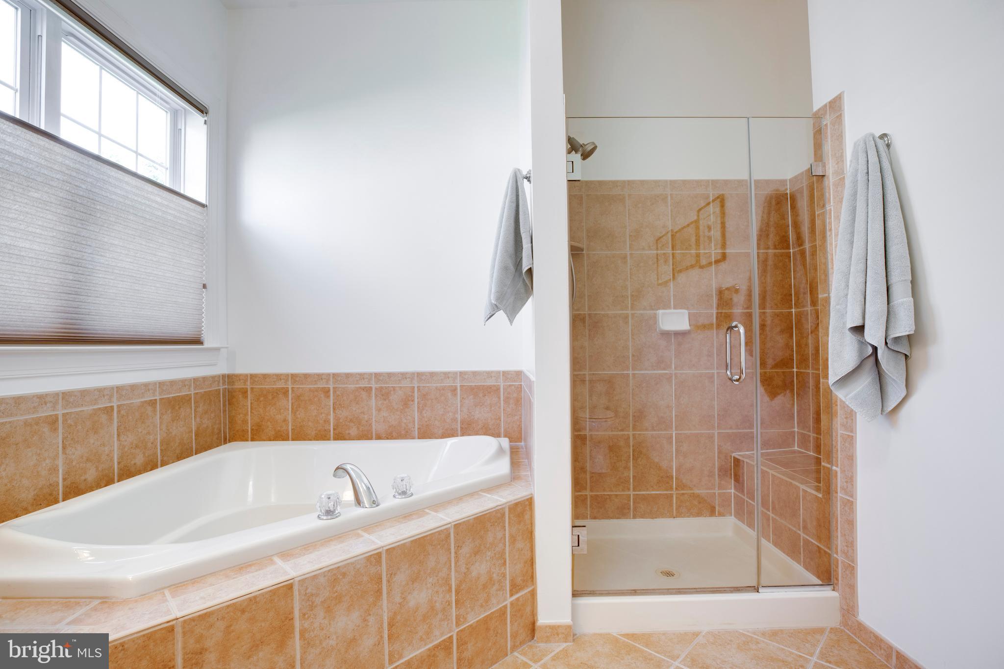 REGENCY AT DOMINION VALLEY - Residential