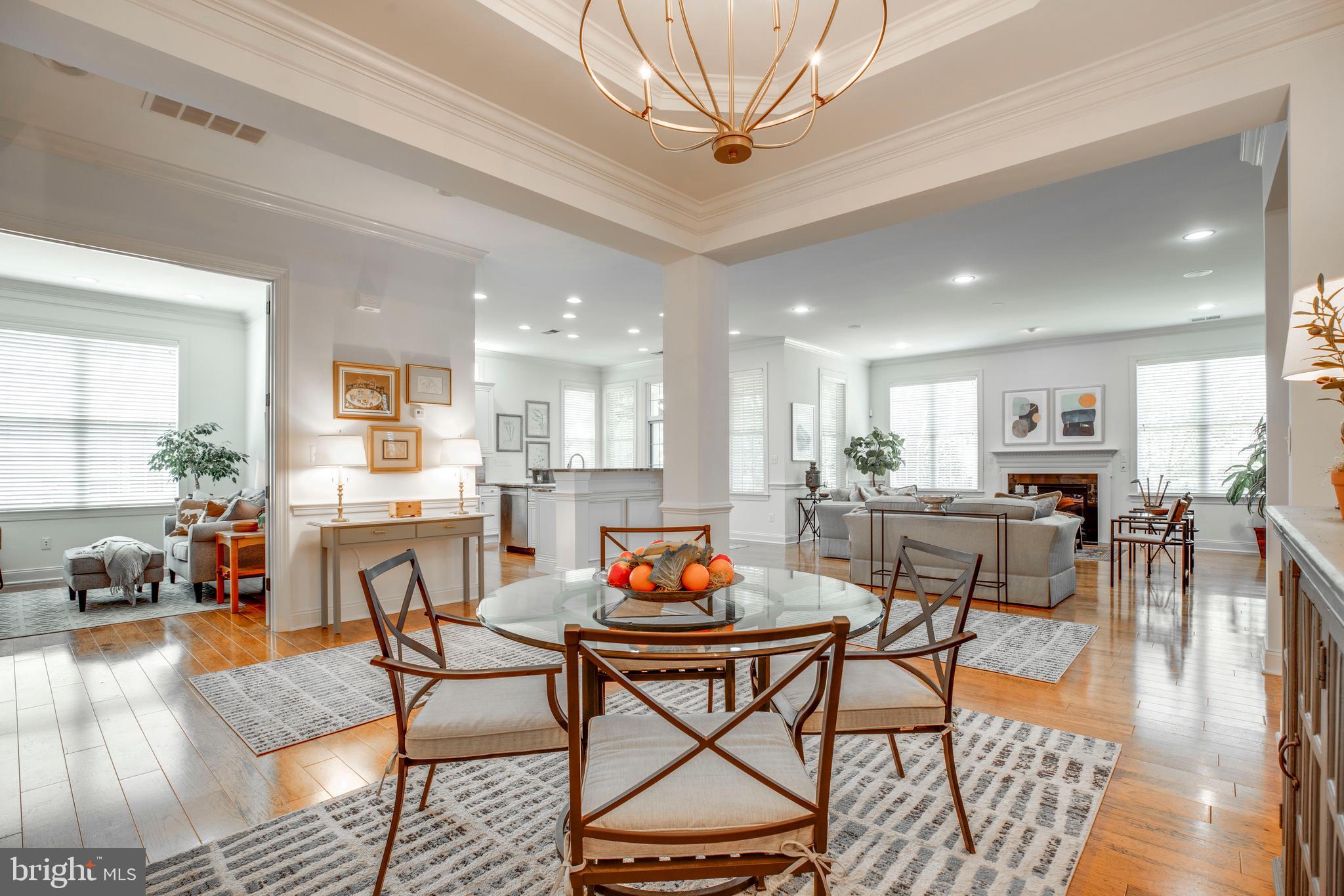 REGENCY AT DOMINION VALLEY - Residential