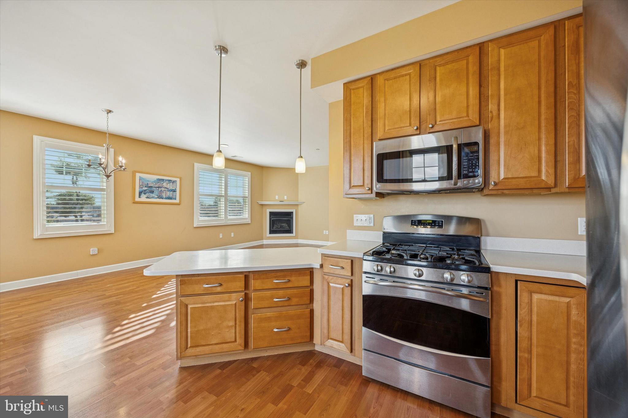 THE VILLAGES AT PINE VALLEY - Residential