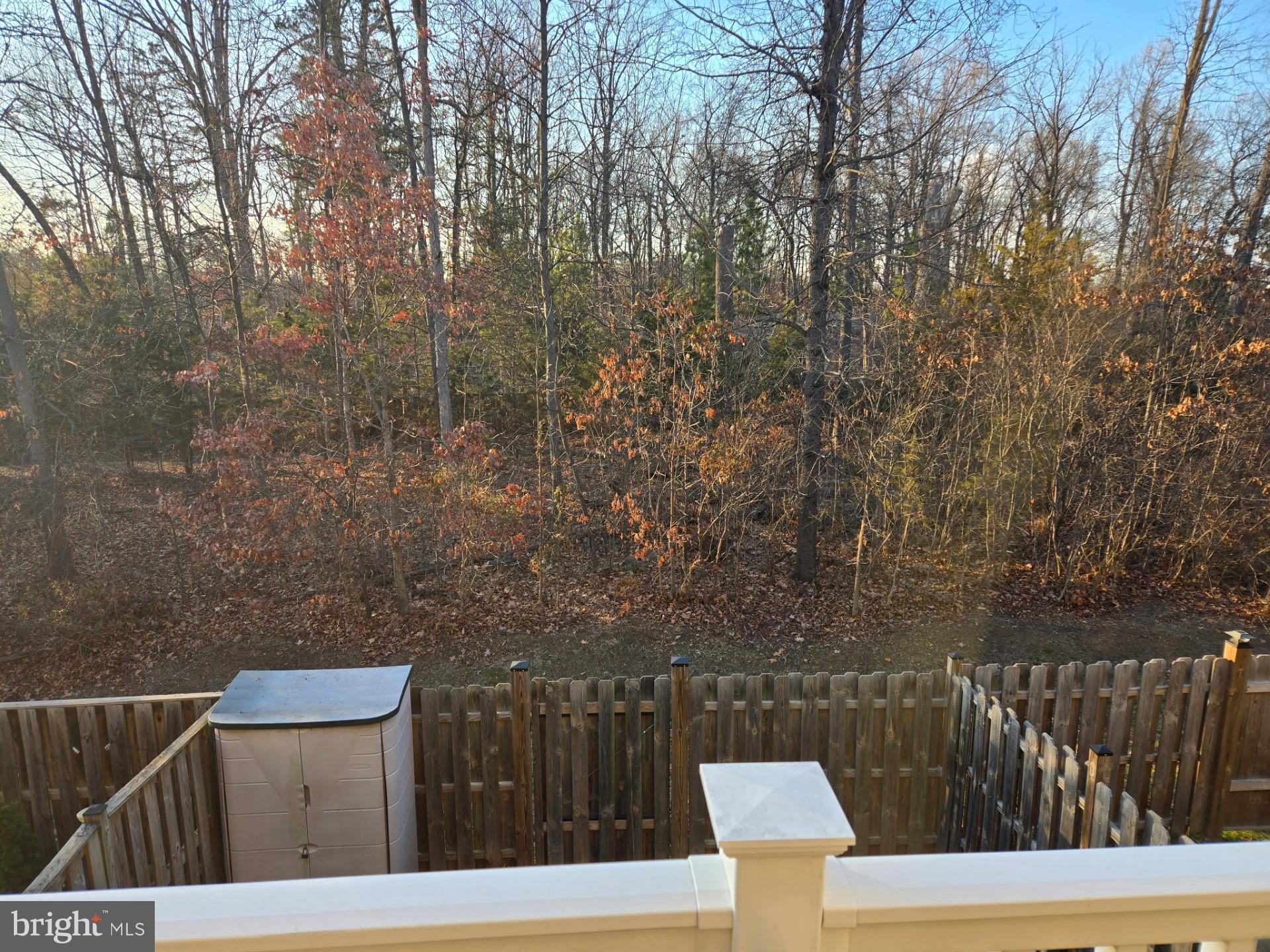 22855 LACEY OAK TERRACE