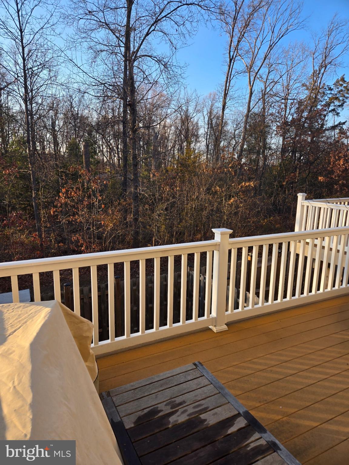 22855 LACEY OAK TERRACE