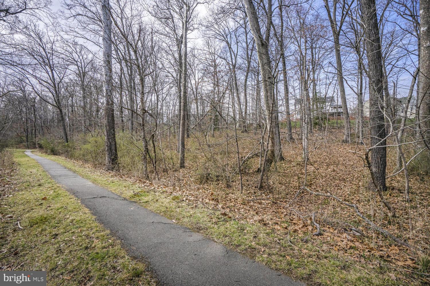 POTOMAC STATION - Residential