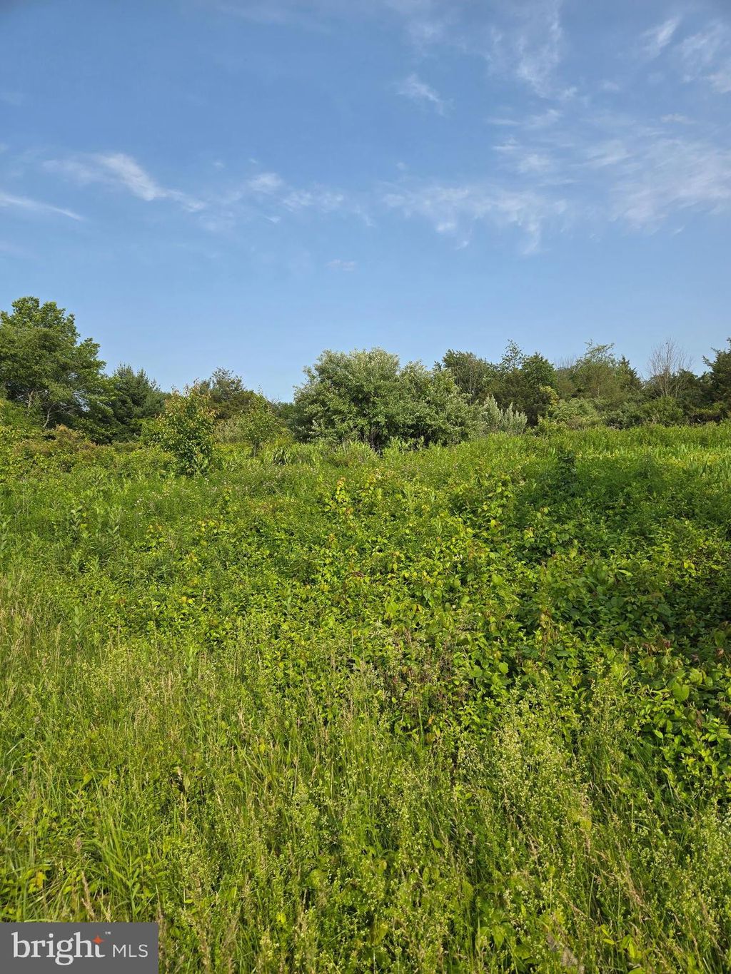 Photo of 0 Industrial Parkway, POTTSTOWN, PA 19464 (MLS # PAMC2142810)