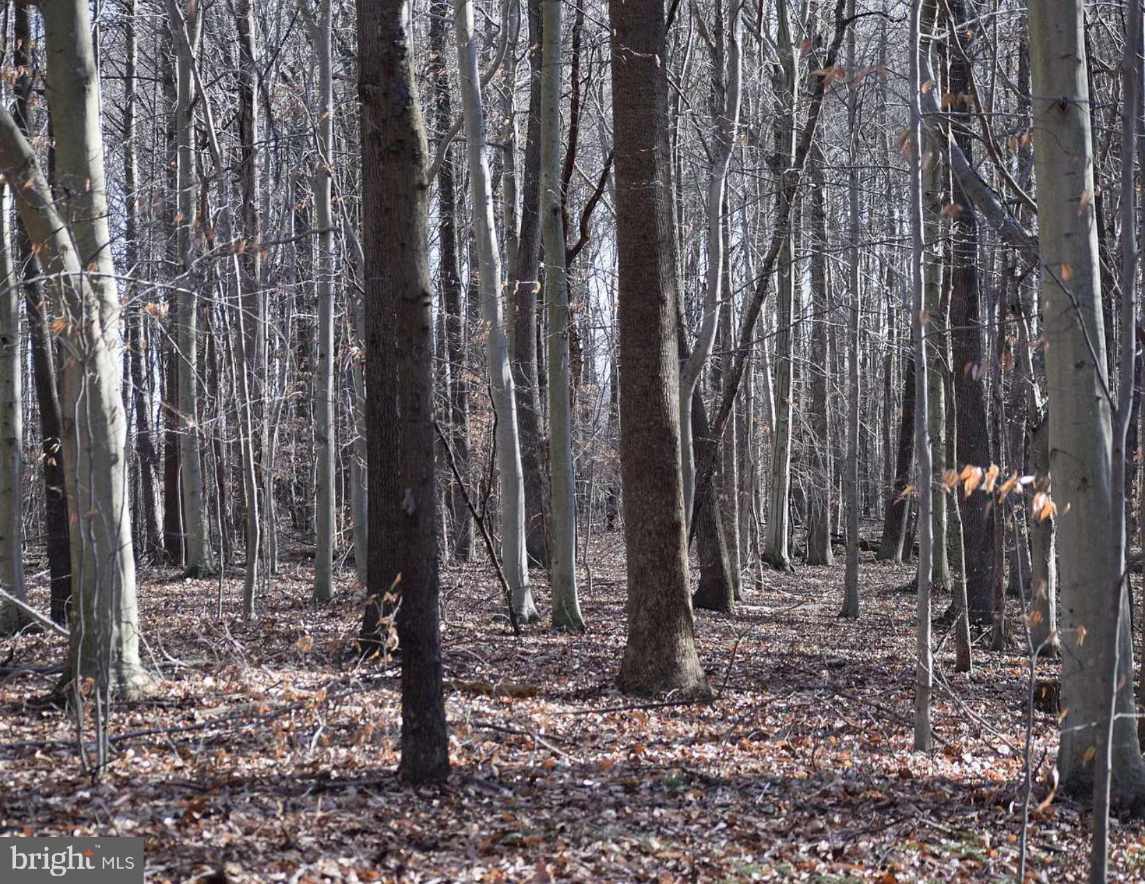 355 MASSEYS CHURCH ROAD