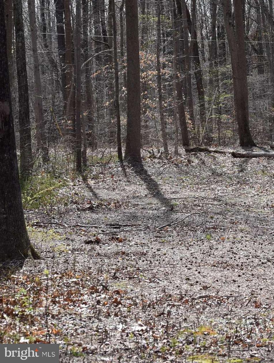 355 MASSEYS CHURCH ROAD