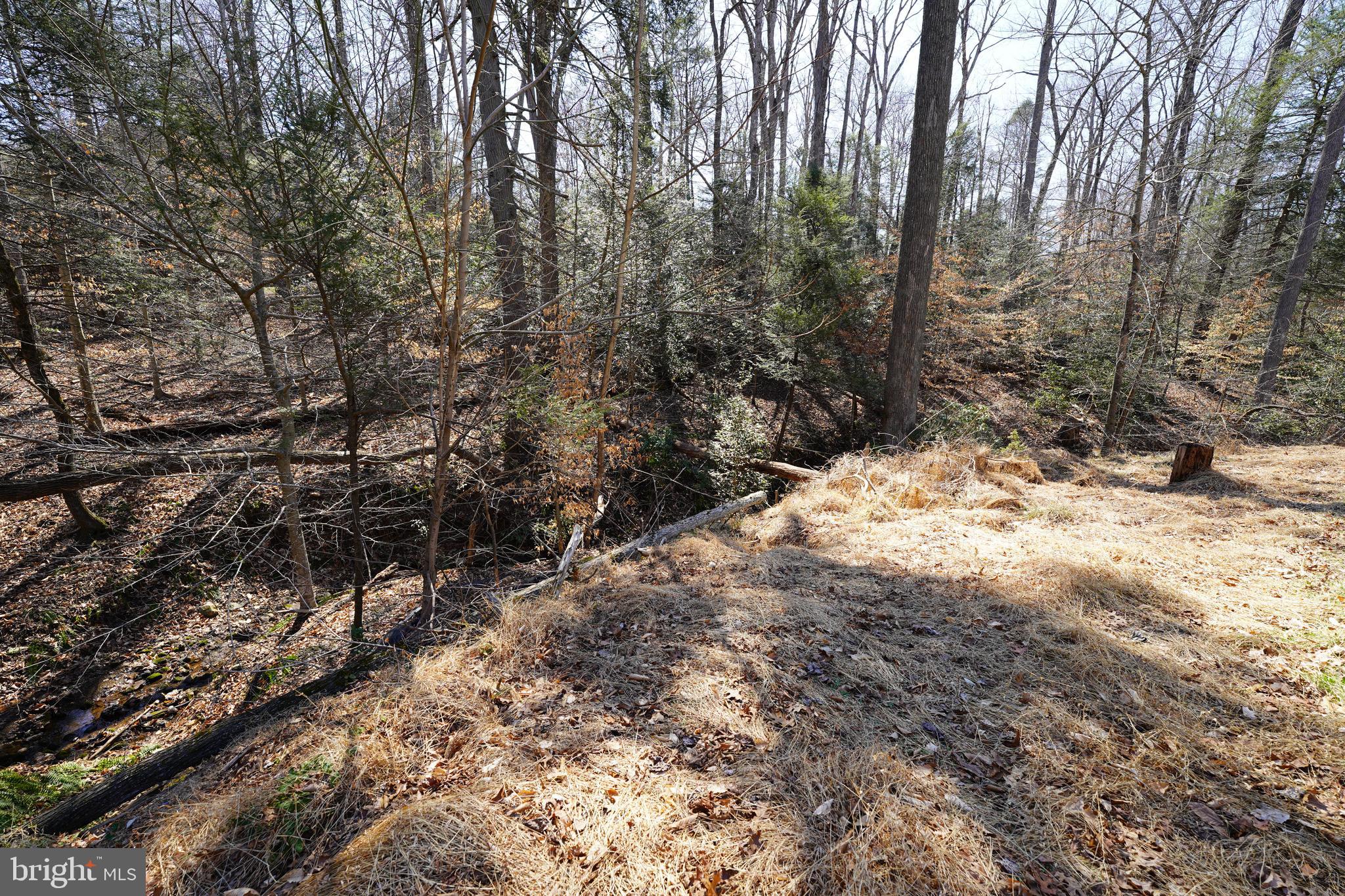 RIVERVIEW ESTATES - Residential