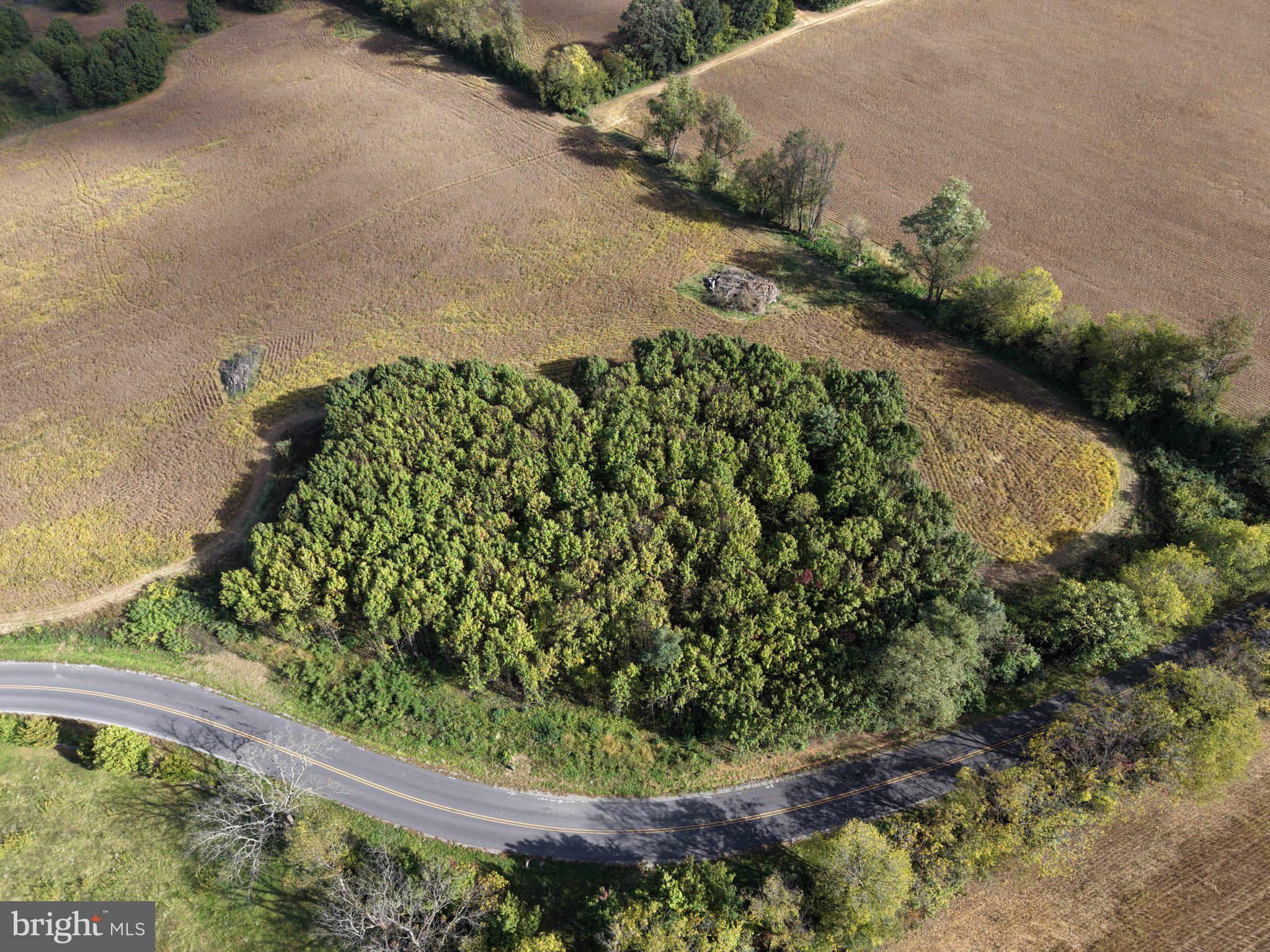TRACT 2: 2.65+/- ACRES PARSHALL ROAD