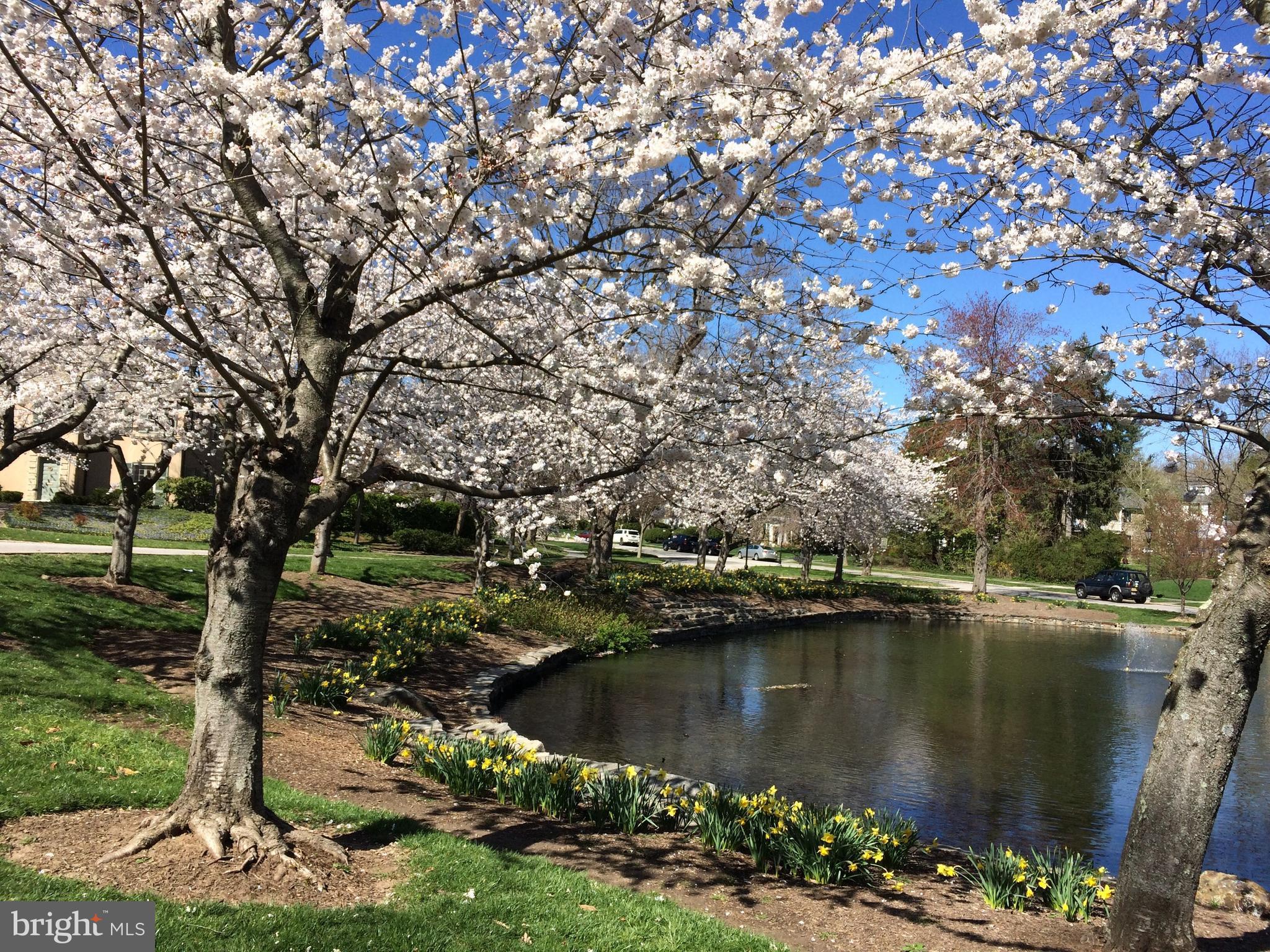 GREATER HOMELAND HISTORIC DISTRICT - Residential