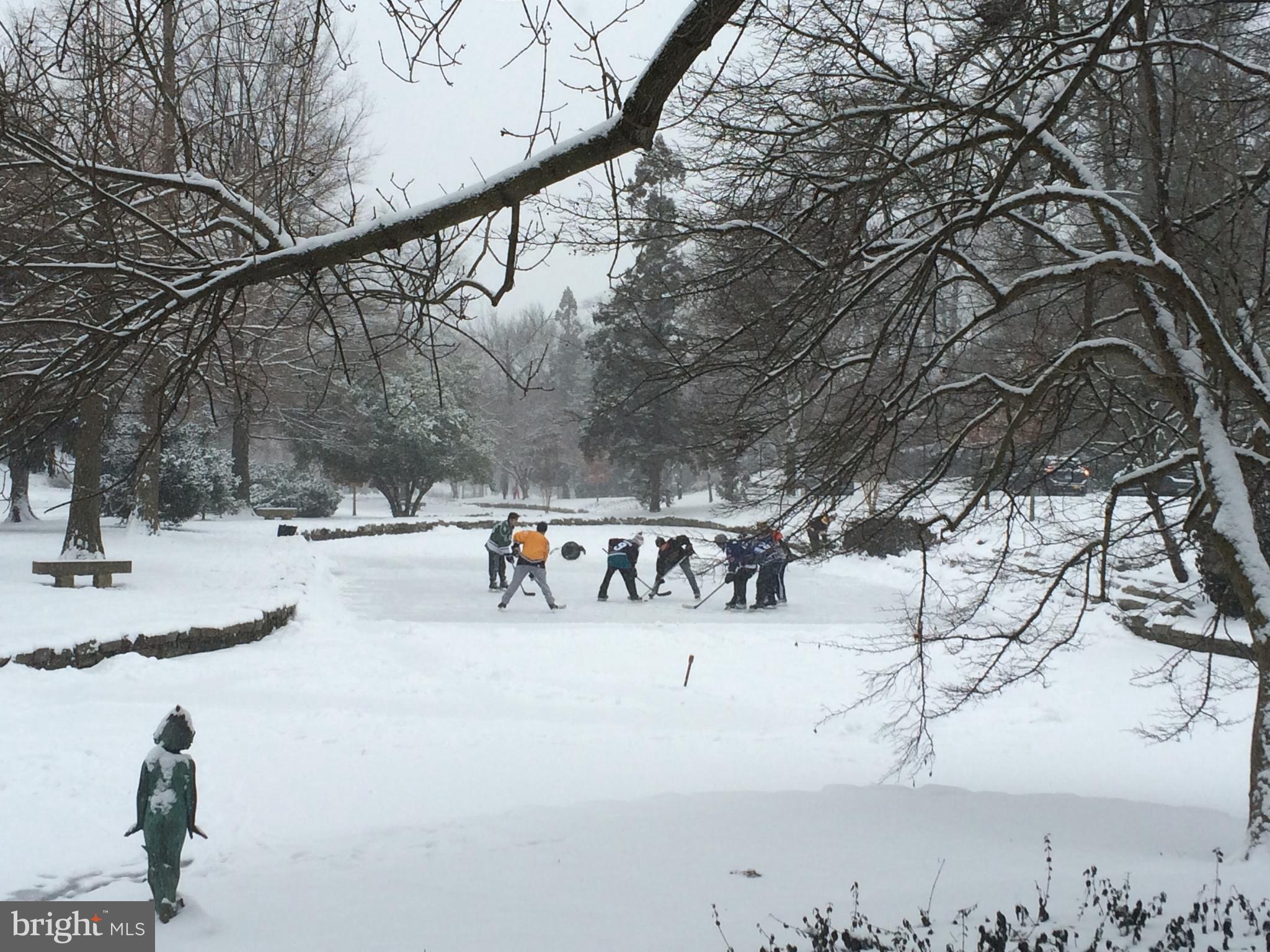 GREATER HOMELAND HISTORIC DISTRICT - Residential