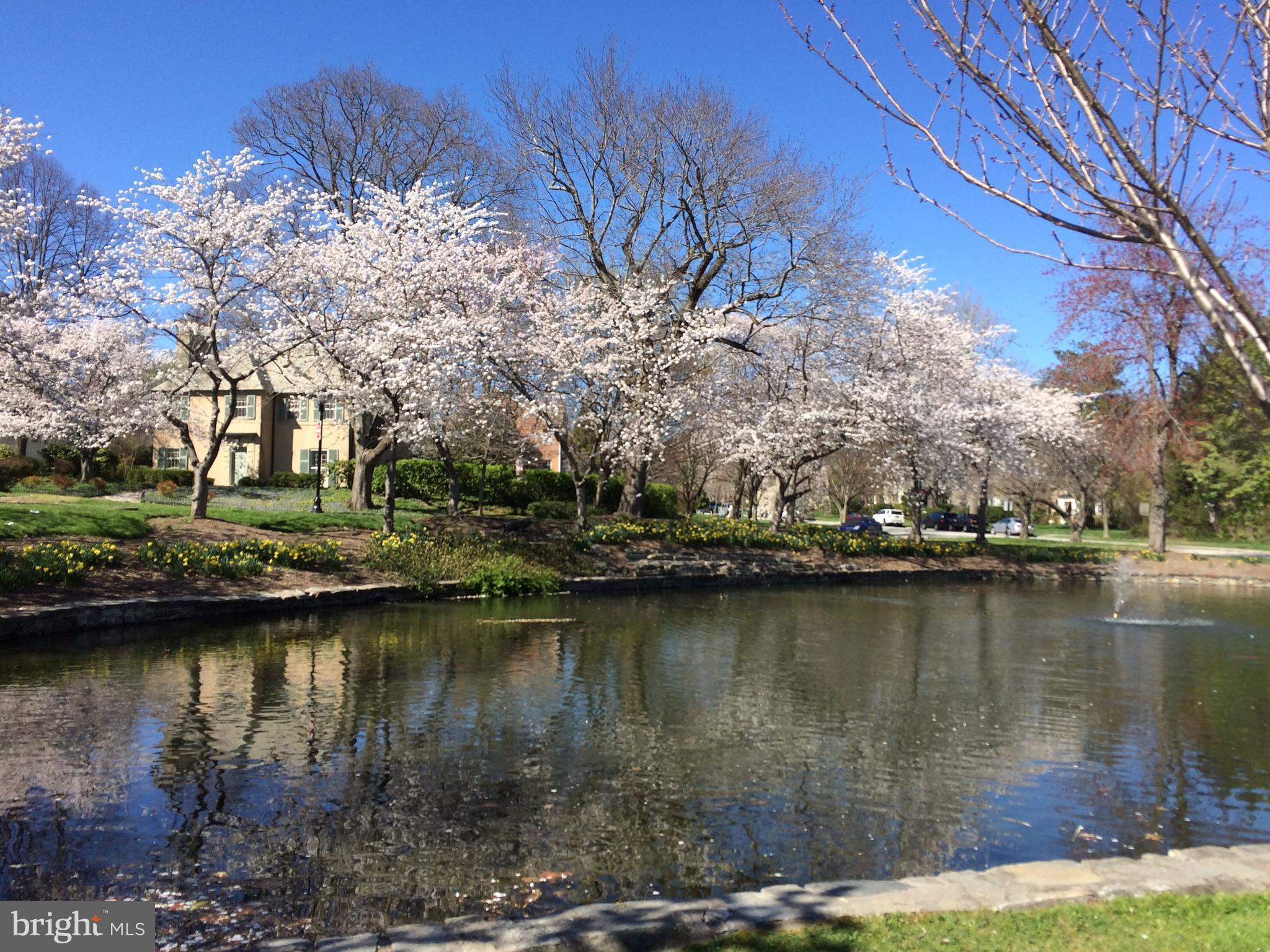 GREATER HOMELAND HISTORIC DISTRICT - Residential