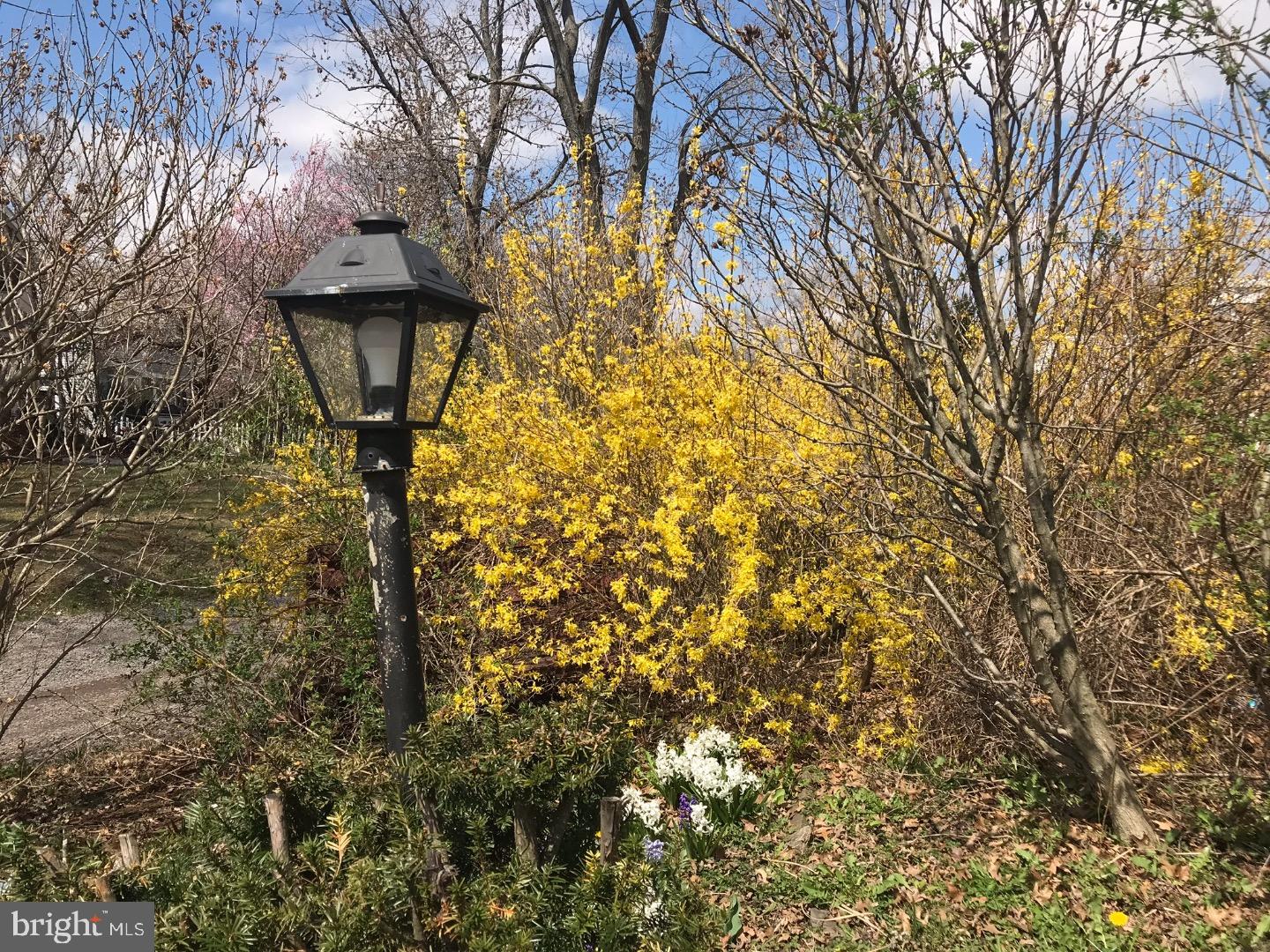 WEDGEWOOD - Residential