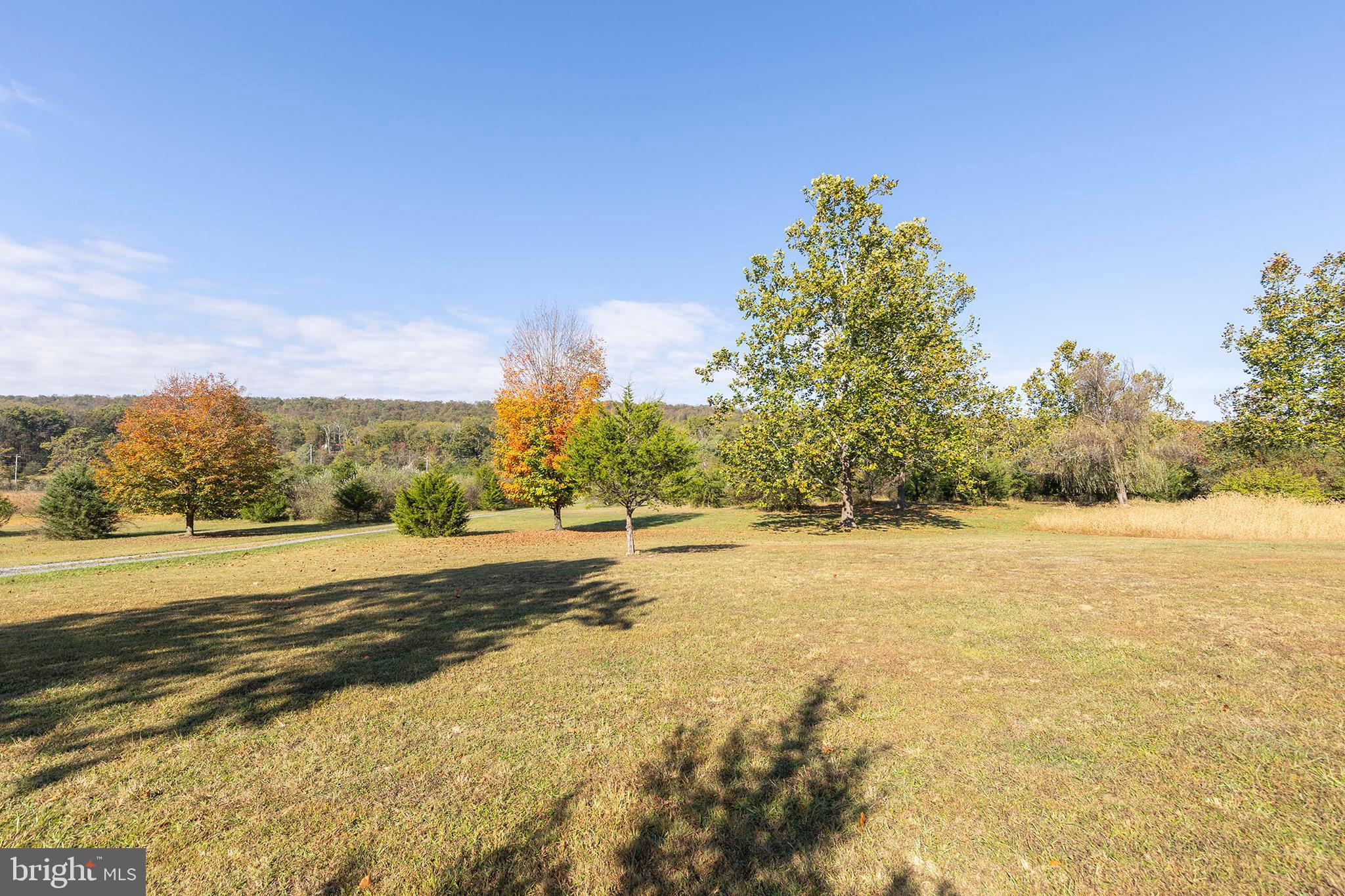 BUFFALO RIDGE RANCHETTES - Residential