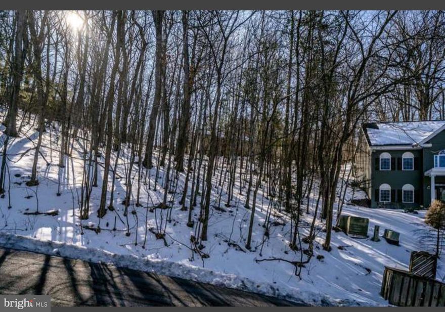 Vacant lot located in Massanutten, a premiere four-seasons Resort, located just outside of Harrisonburg, VA in the Shenandoah Valley! Build to suit a Fulltime residence, vacation home, or your next investment property. Golf, Ski, Biking, Hiking, and resort amenities at your door for a discount. Neighboring LOT #98 is also available.