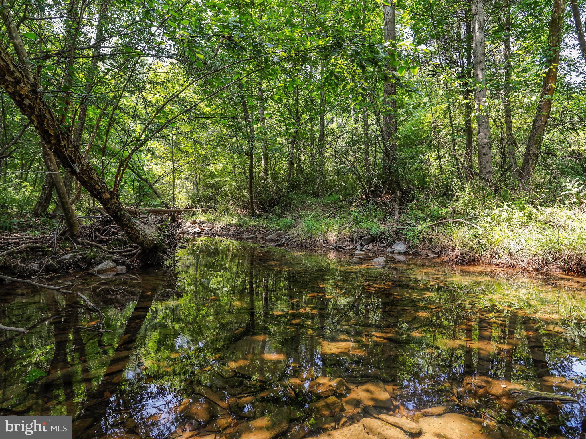 SLIM CHANCE ACRES - Land