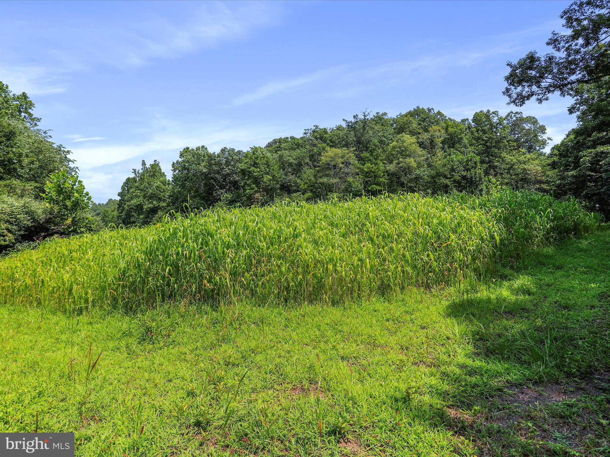 SLIM CHANCE ACRES - Land