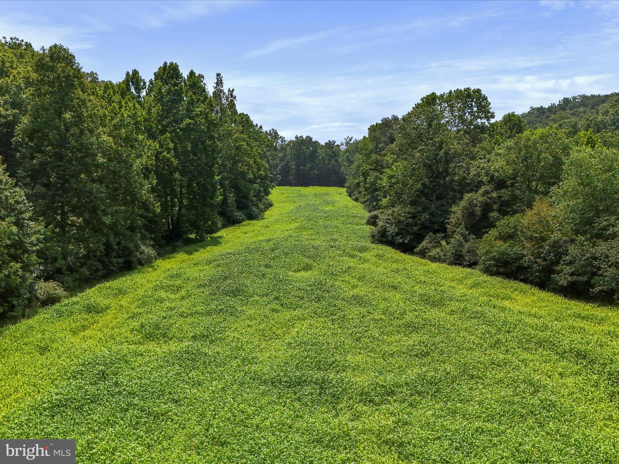 SLIM CHANCE ACRES - Land