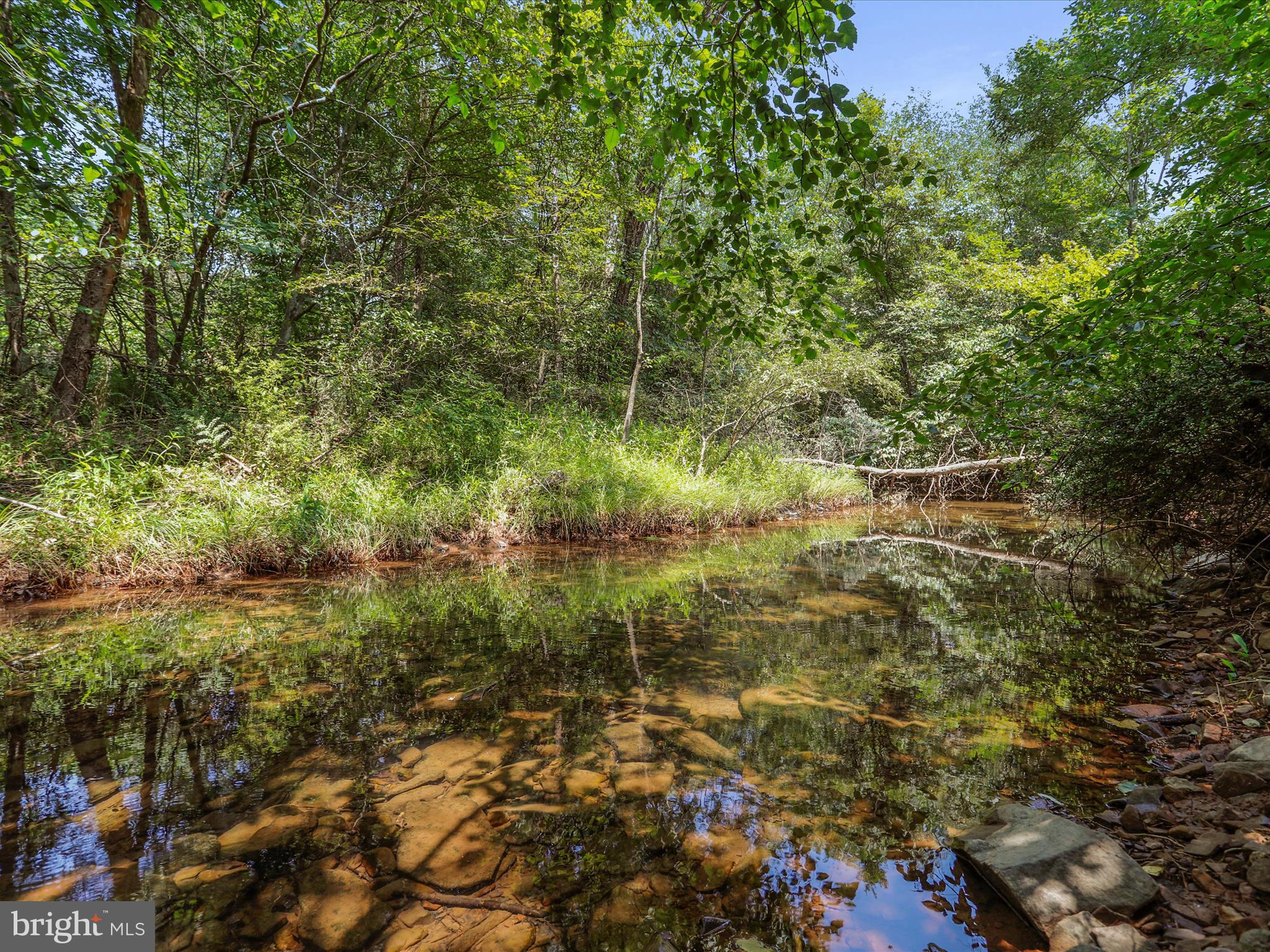 SLIM CHANCE ACRES - Land