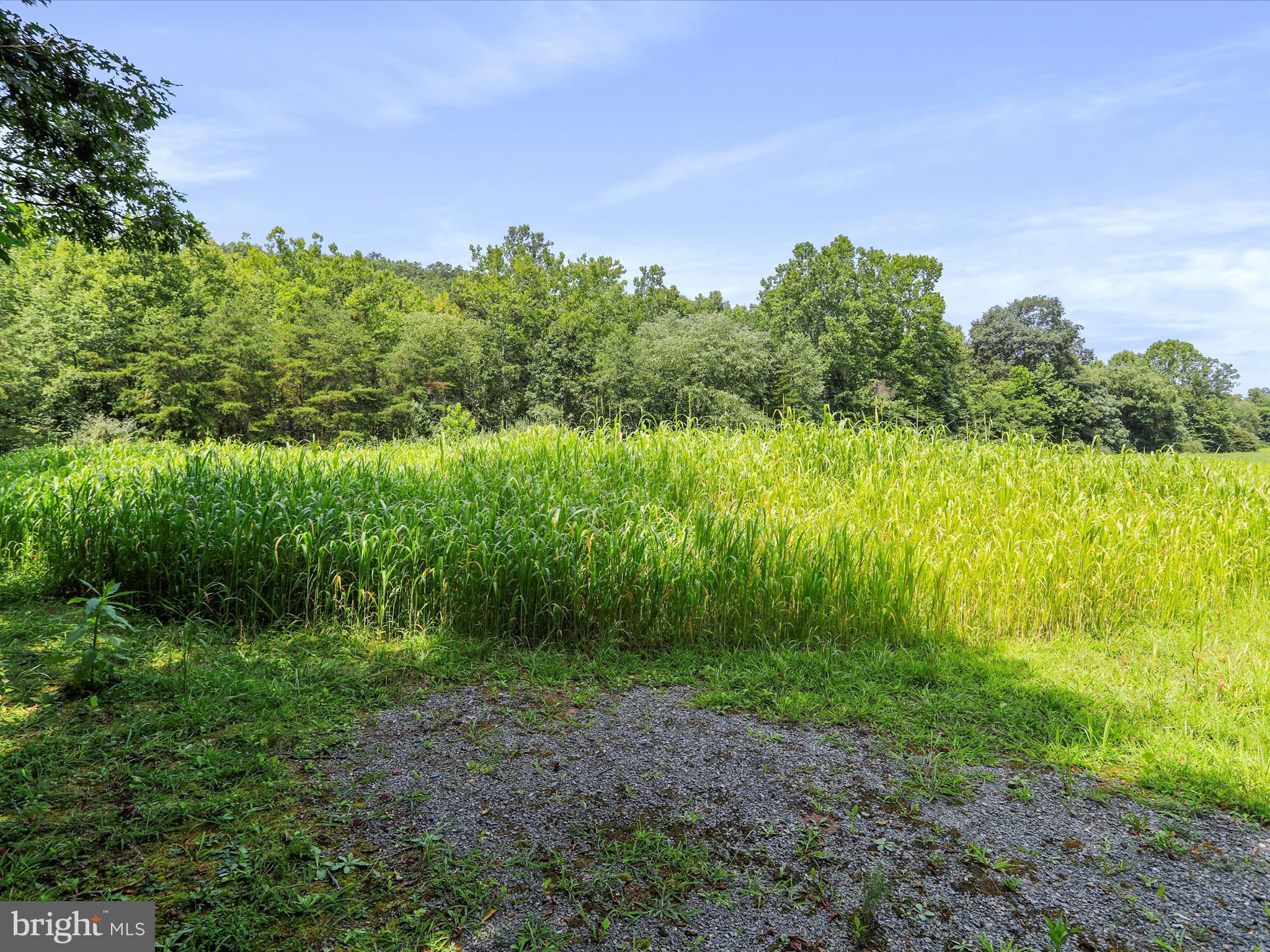 SLIM CHANCE ACRES - Land