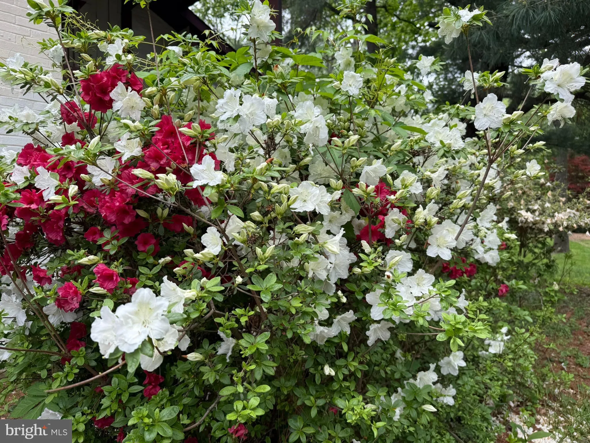 Columbia, Maryland 21045, United States, 4 Bedrooms Bedrooms, ,3 BathroomsBathrooms,Residential,Active,135340