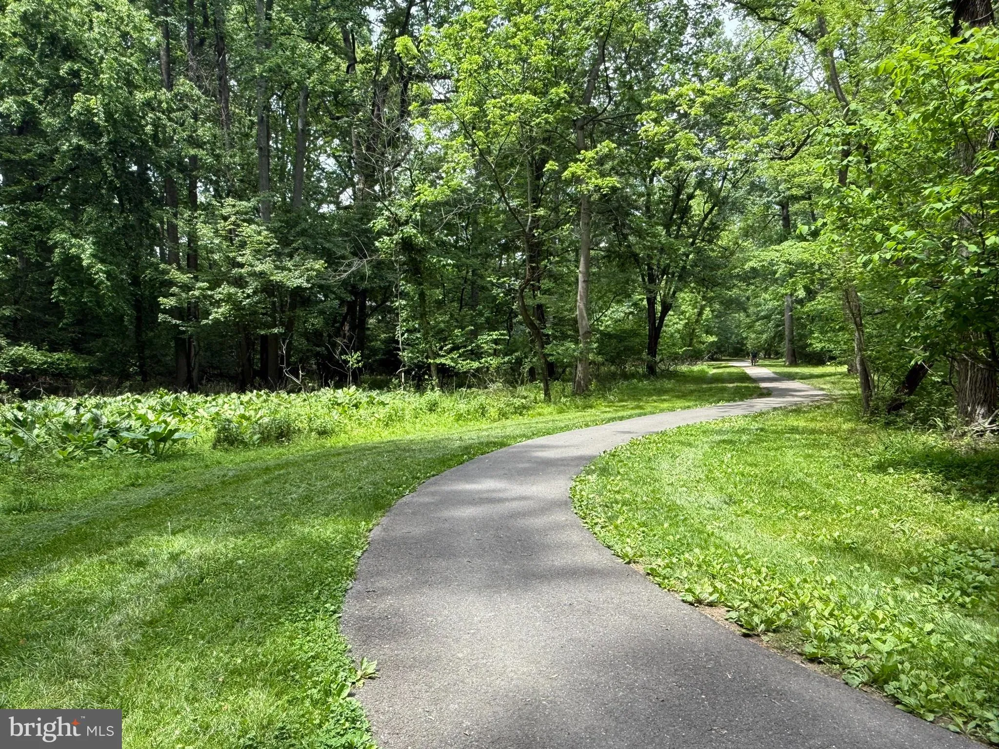 Columbia, Maryland 21045, United States, 4 Bedrooms Bedrooms, ,3 BathroomsBathrooms,Residential,Active,135340