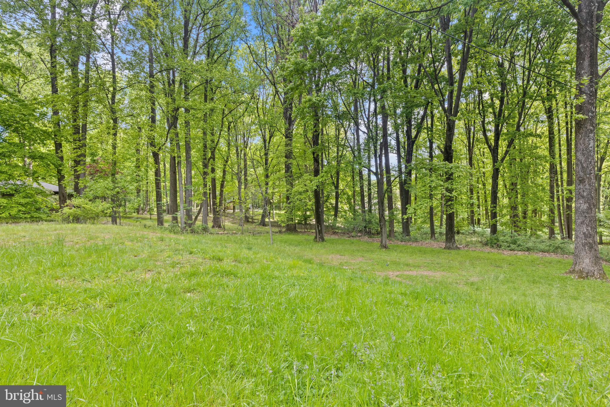 CAVES VALLEY - Residential