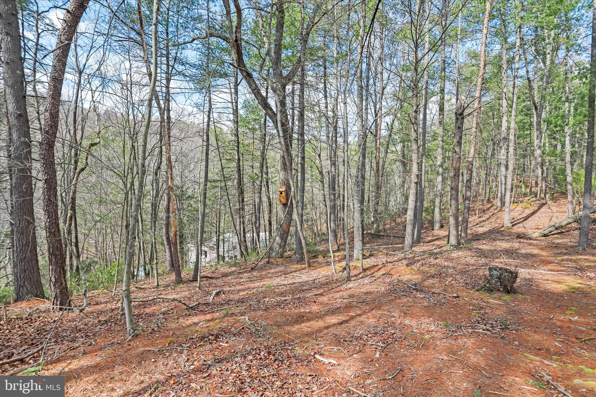 NONE UNRESTRICTED - Residential