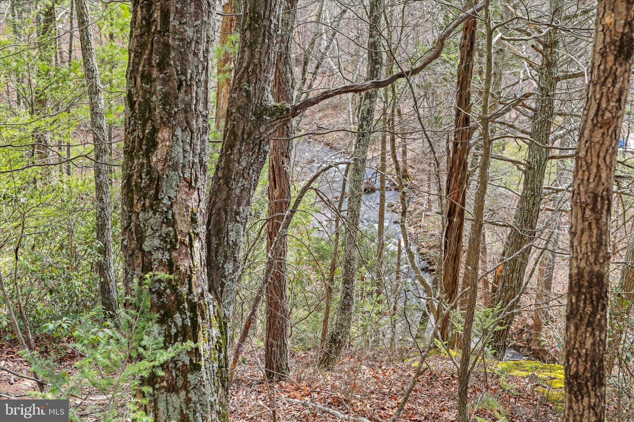 NONE UNRESTRICTED - Residential