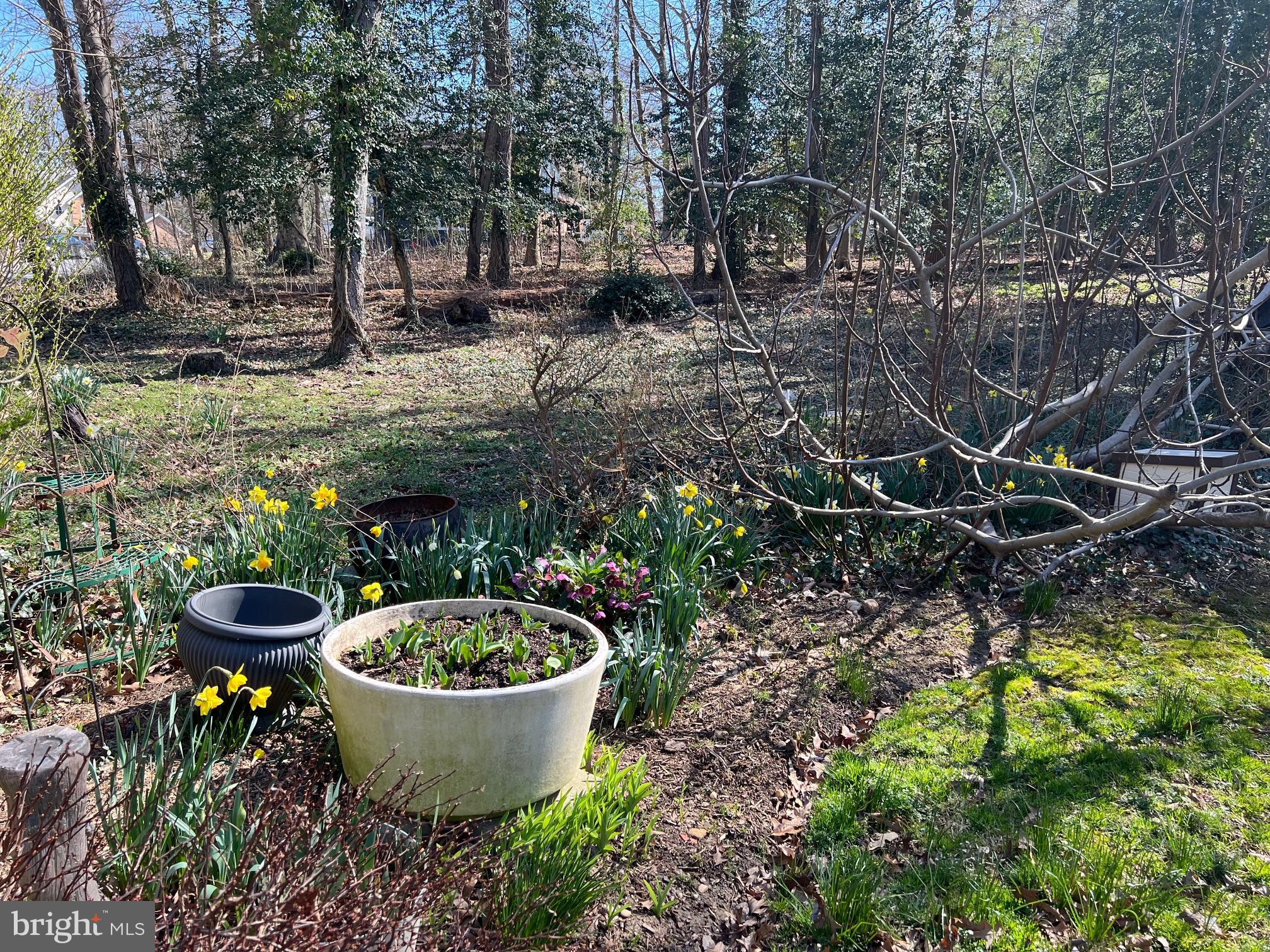 FRIENDLY HILLS - Land