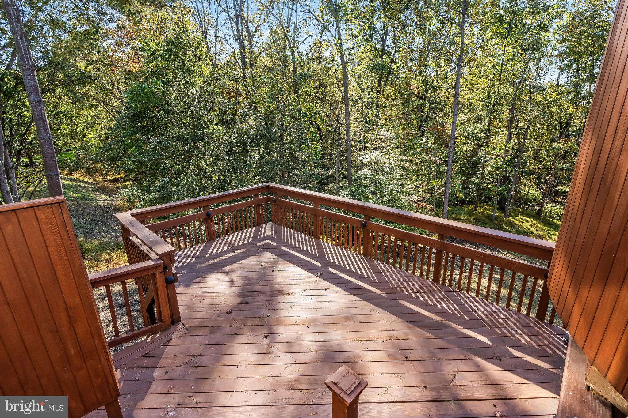 THE PALISADES - Residential