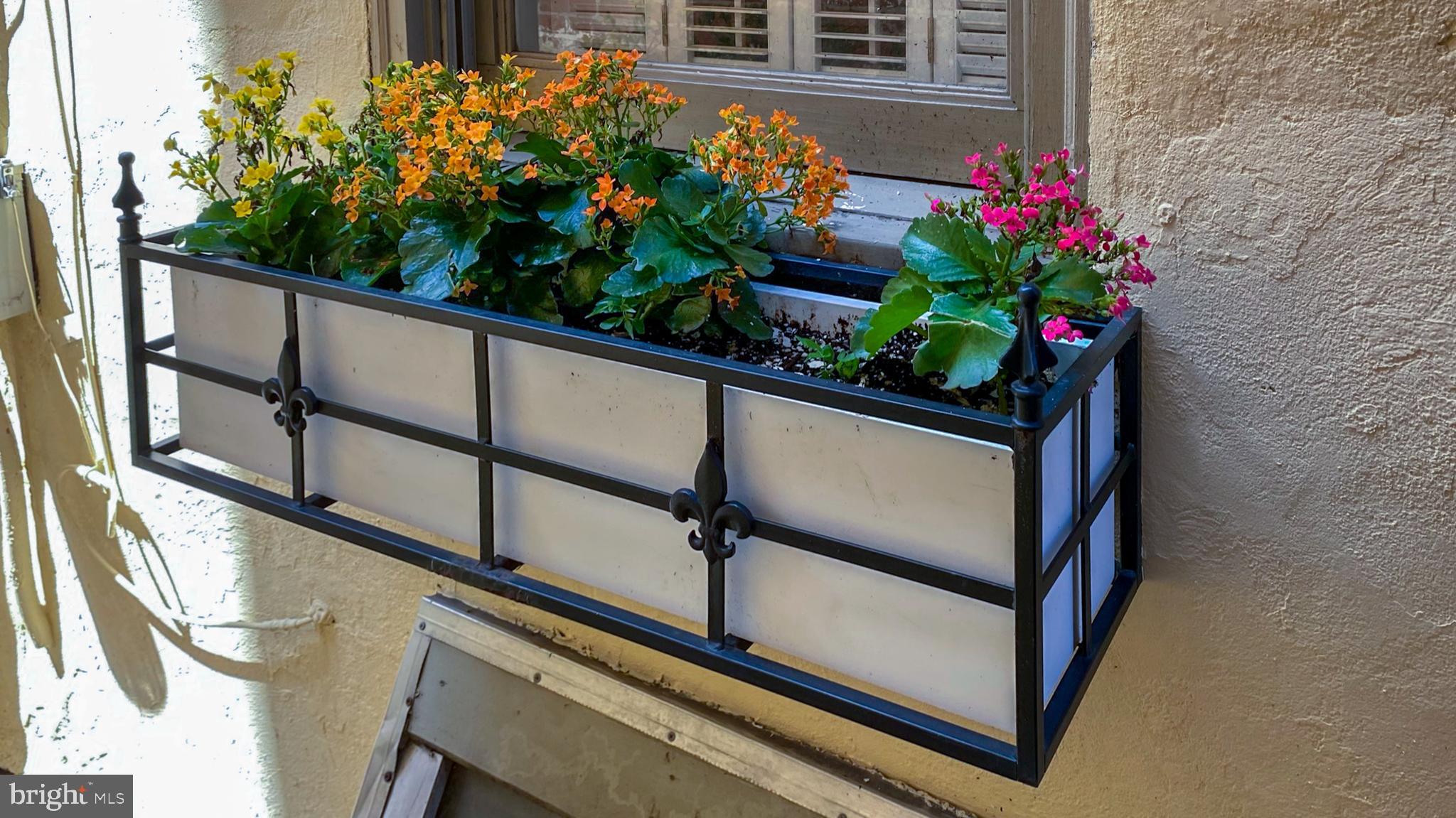 QUEEN VILLAGE - Residential