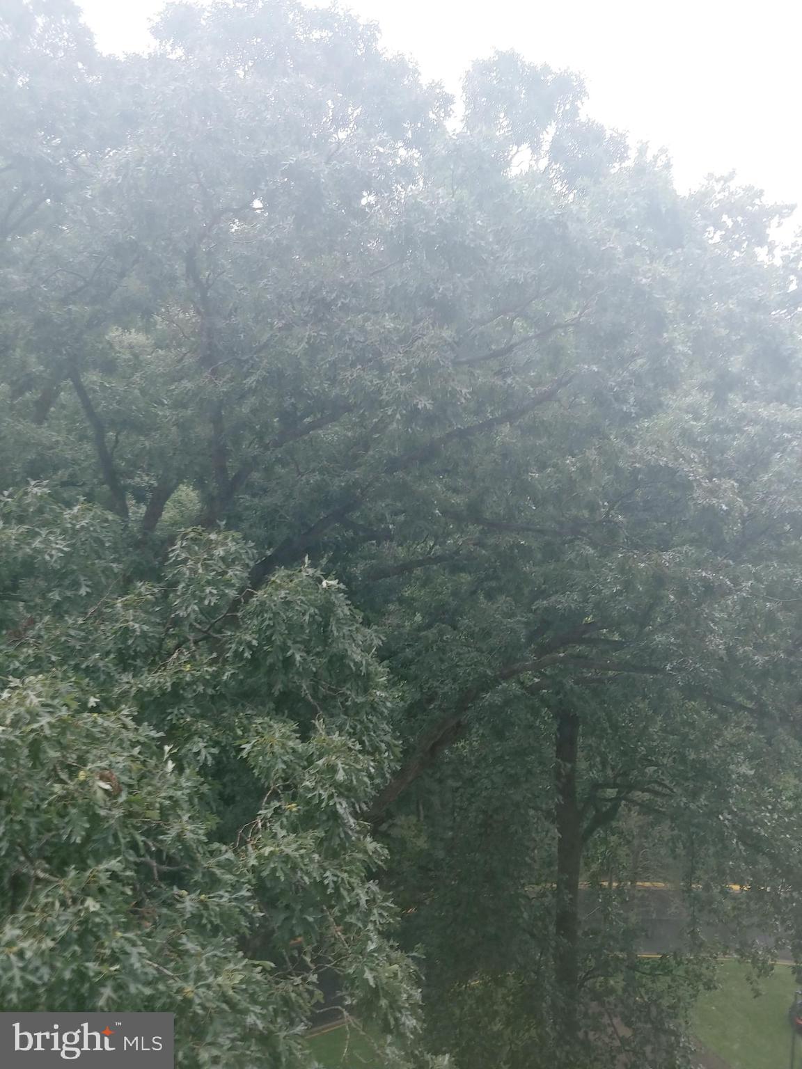 PROMENADE TOWERS - Residential Lease