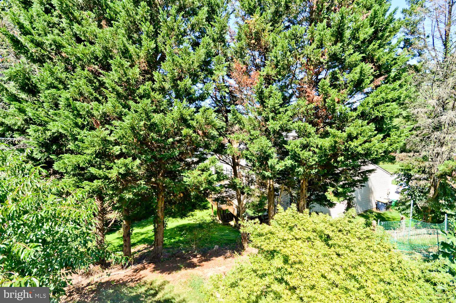 NEWBRIDGE - Residential