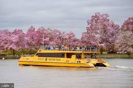 BULFINCH SQUARE - Residential