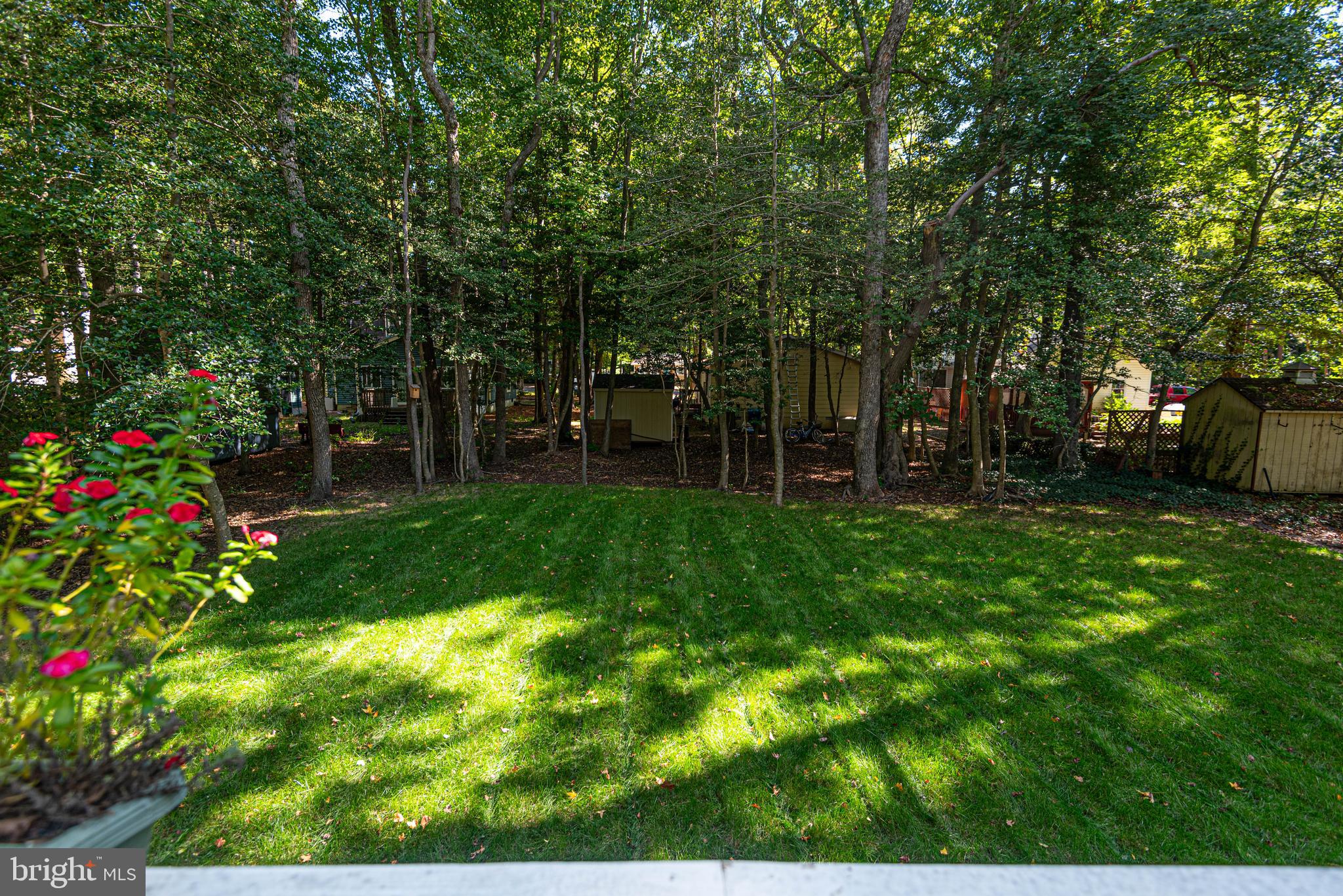 OCEAN PINES - PINEHURST - Residential