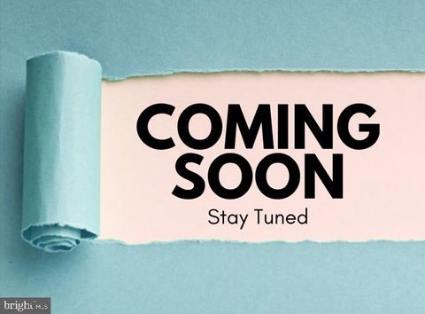 11458 MAID AT ARMS LANE BERLIN MD 21811