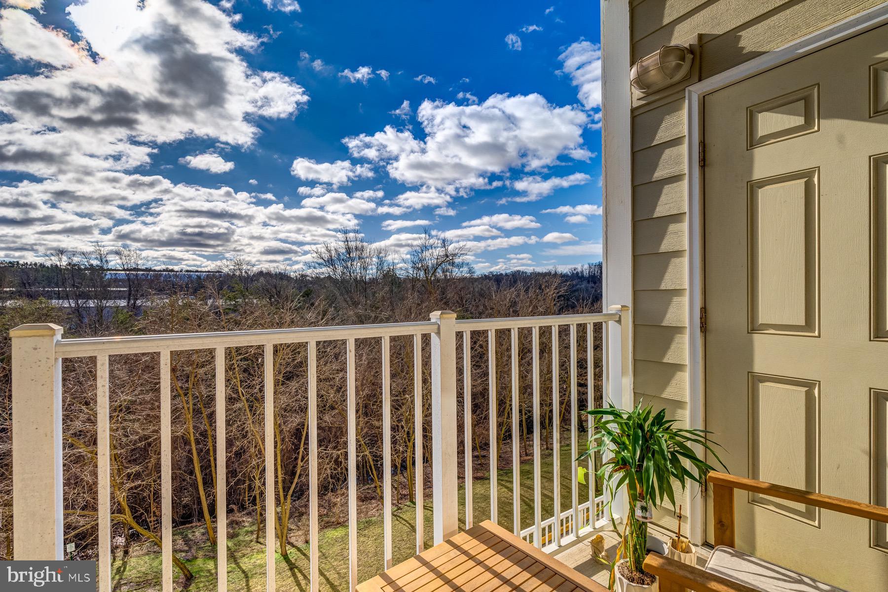 ISABELLA AT MONTICELLO MEWS - Residential