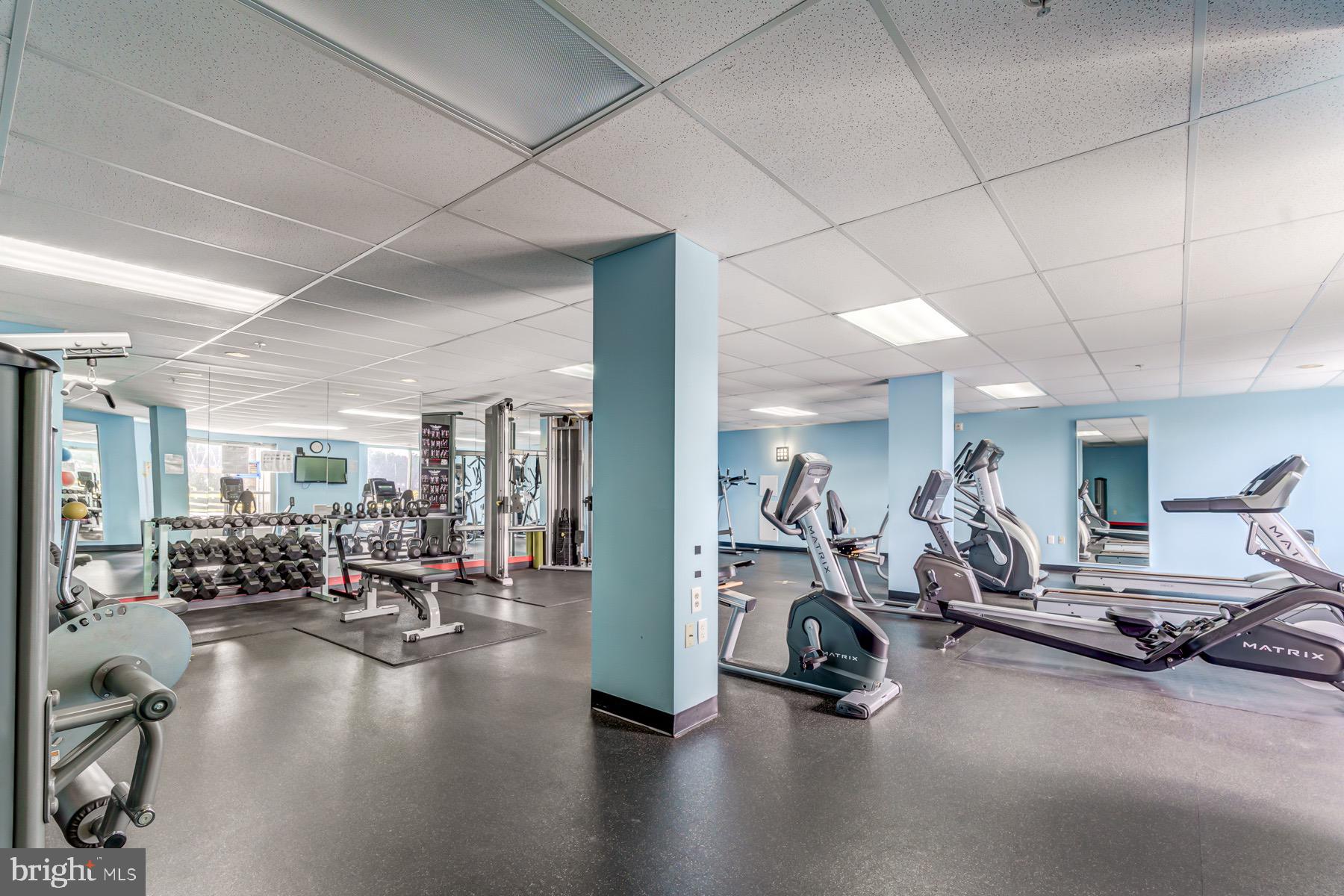 ISABELLA AT MONTICELLO MEWS - Residential