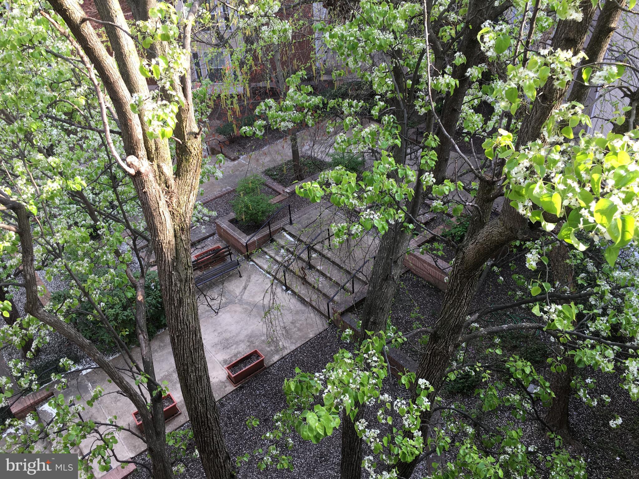 FOUNTAINS AT MCLEAN - Residential Lease