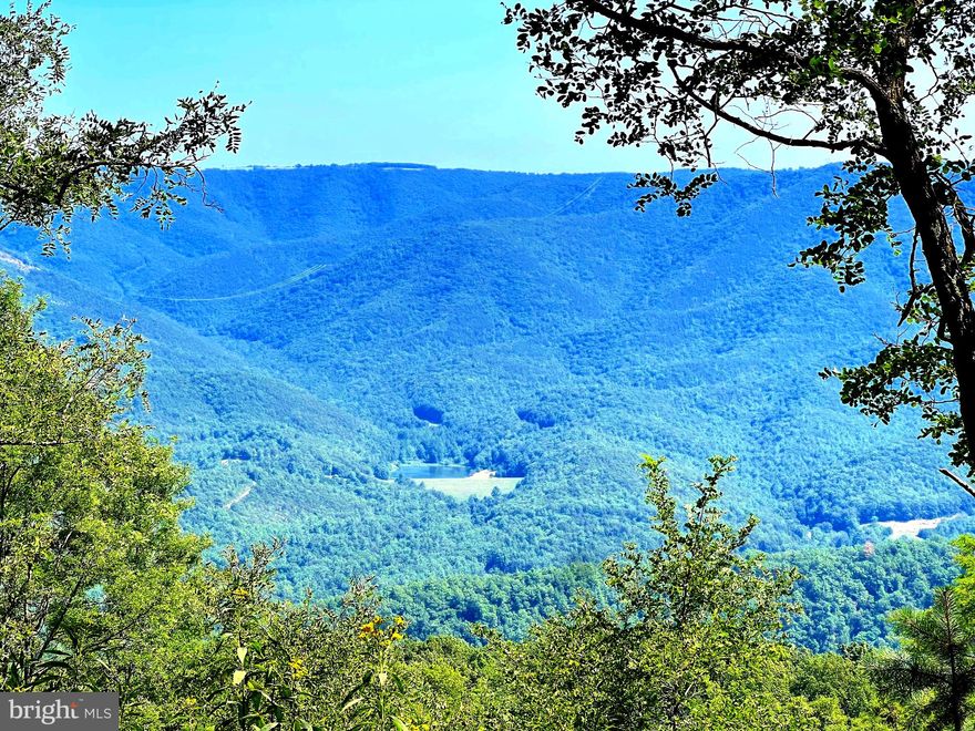 This is a great hunting tract. Seldom used. Super private yet easy access. Fairly flat road, but 4-Wheel drive recommended. All wooded.  Electric NOT available!.  Hasn't been timbered in years. Must be accompanied by agent.